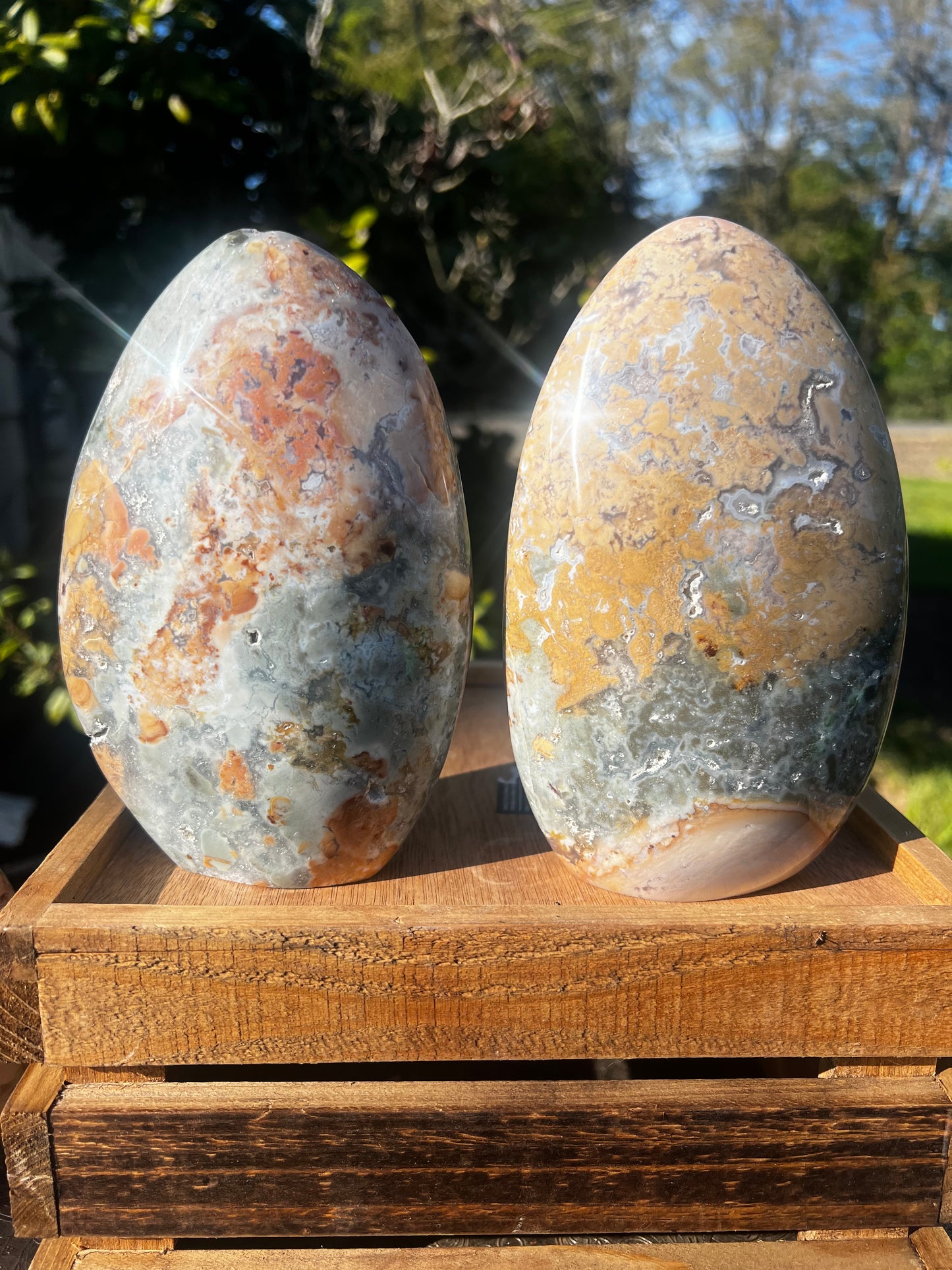 Sea Jasper / Ibis Jasper XL Freeform (you choose)