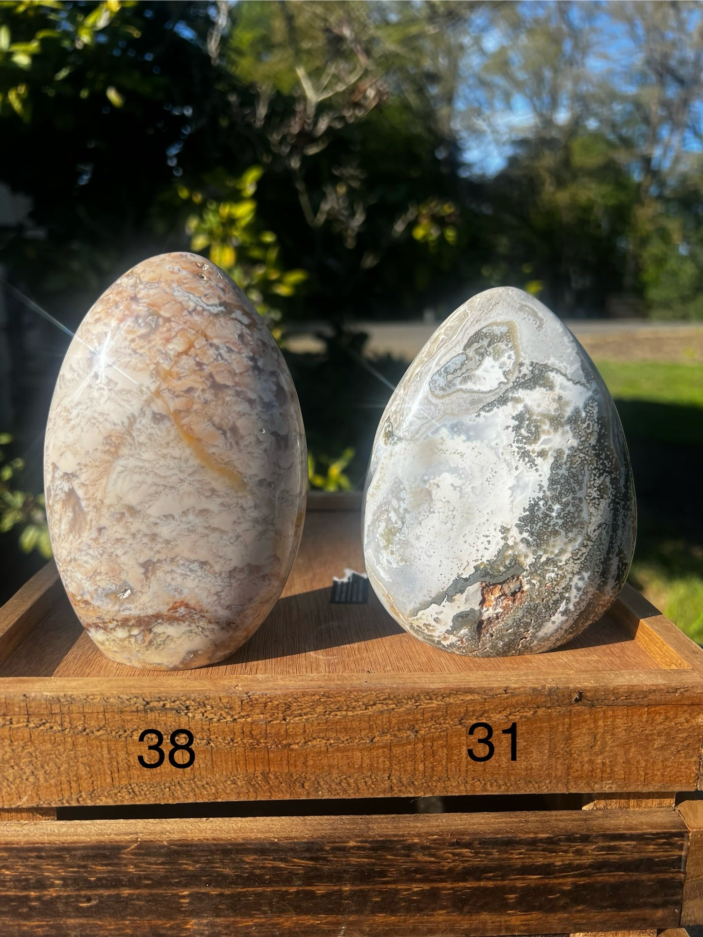 Ibis Jasper / Sea Jasper Freeform - You choose