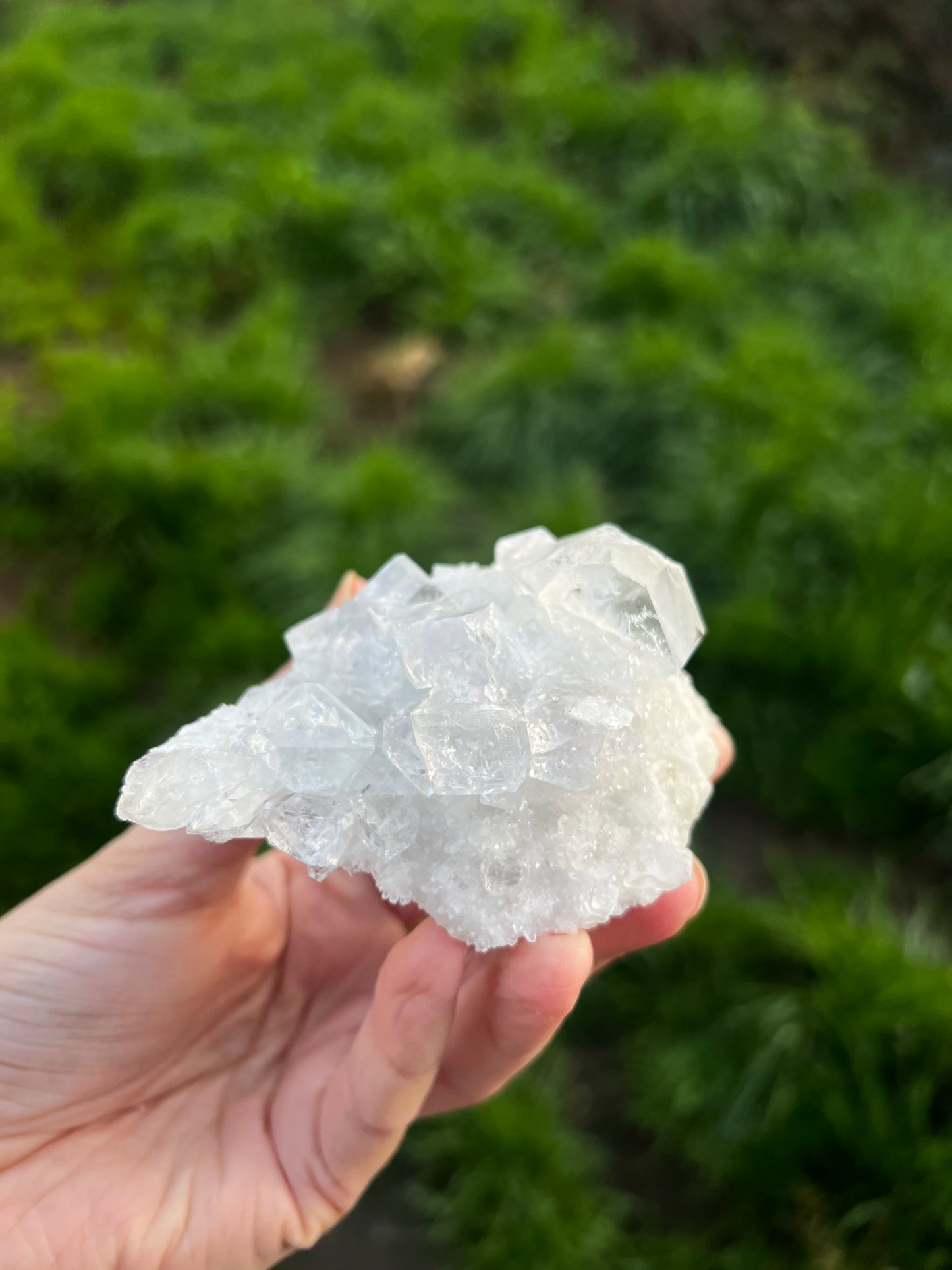 Calcite with Rainbow filled icy fluorite cubes. - China 42