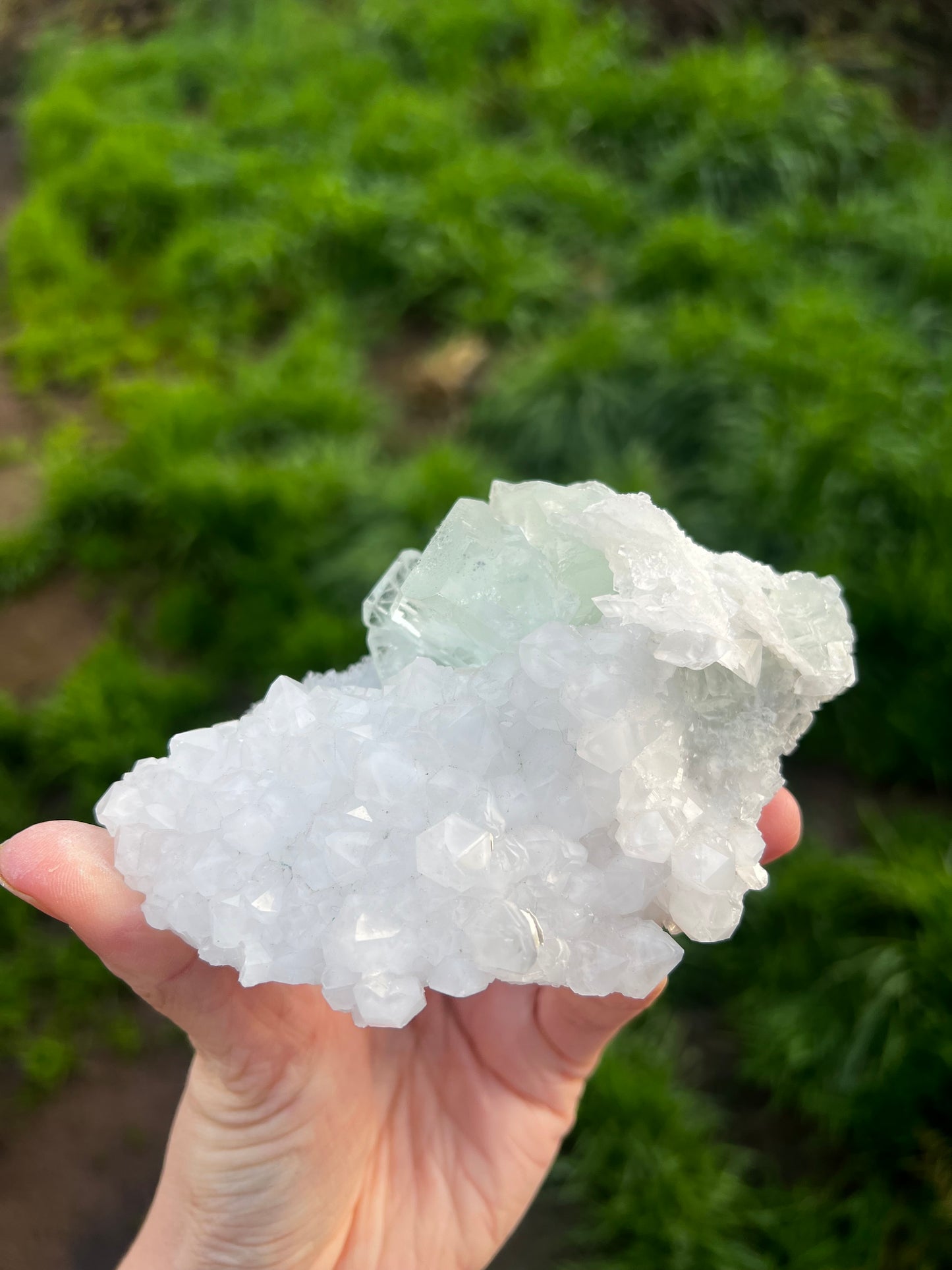 Calcite with Fluorite green cubes 67