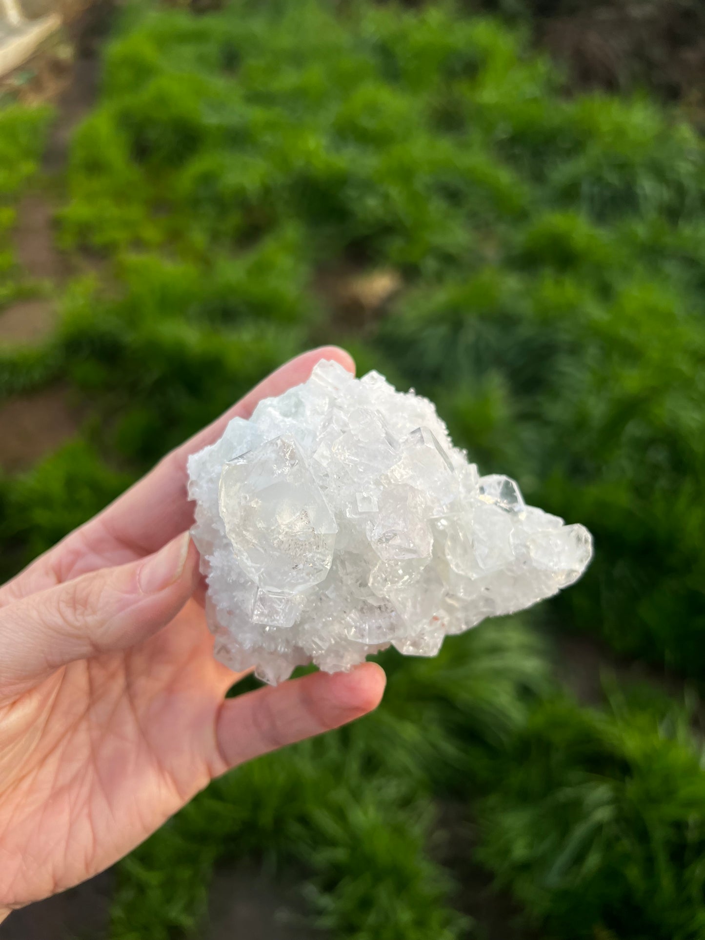 Calcite with Rainbow filled icy fluorite cubes. - China 42