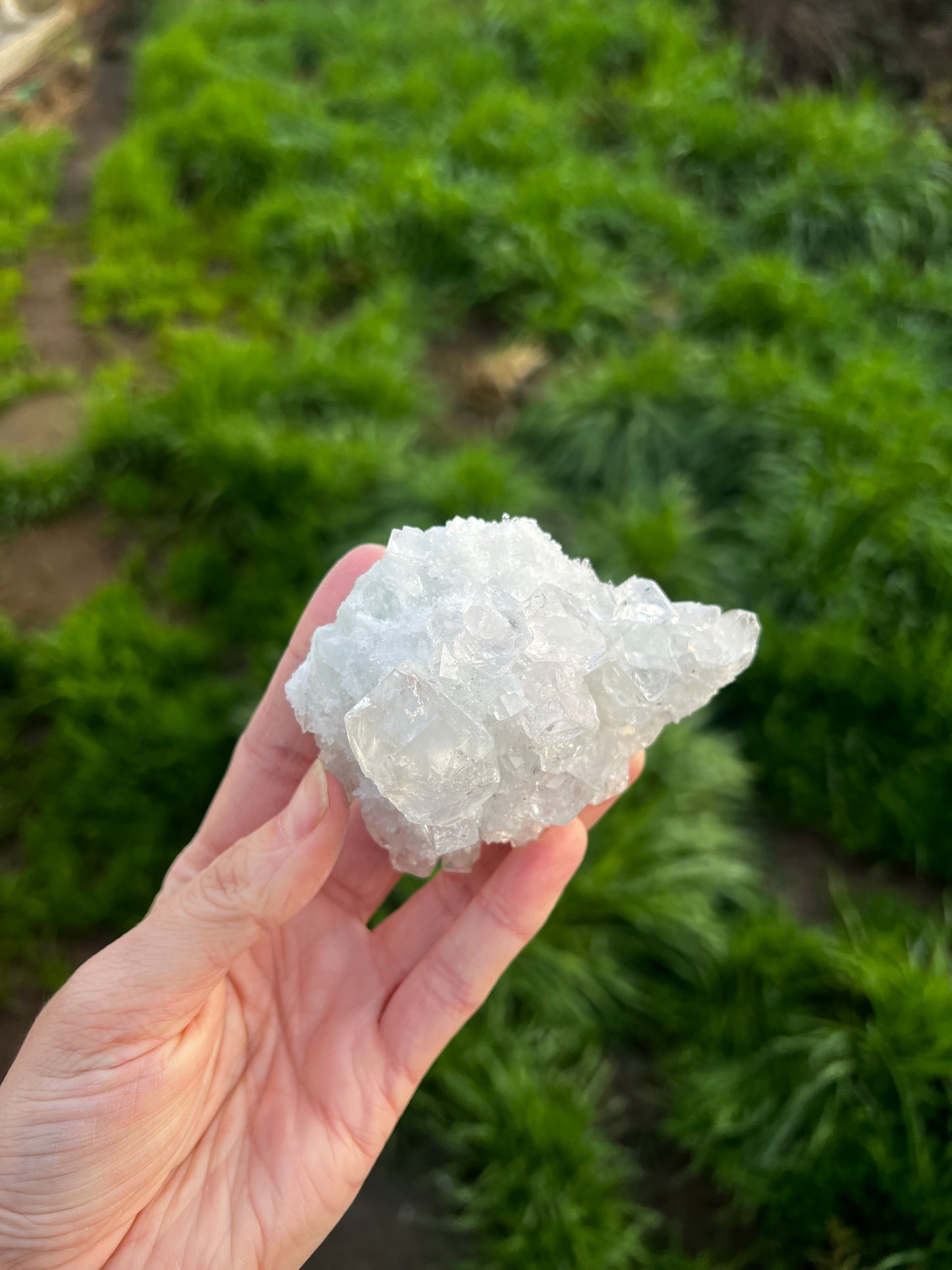 Calcite with Rainbow filled icy fluorite cubes. - China 42