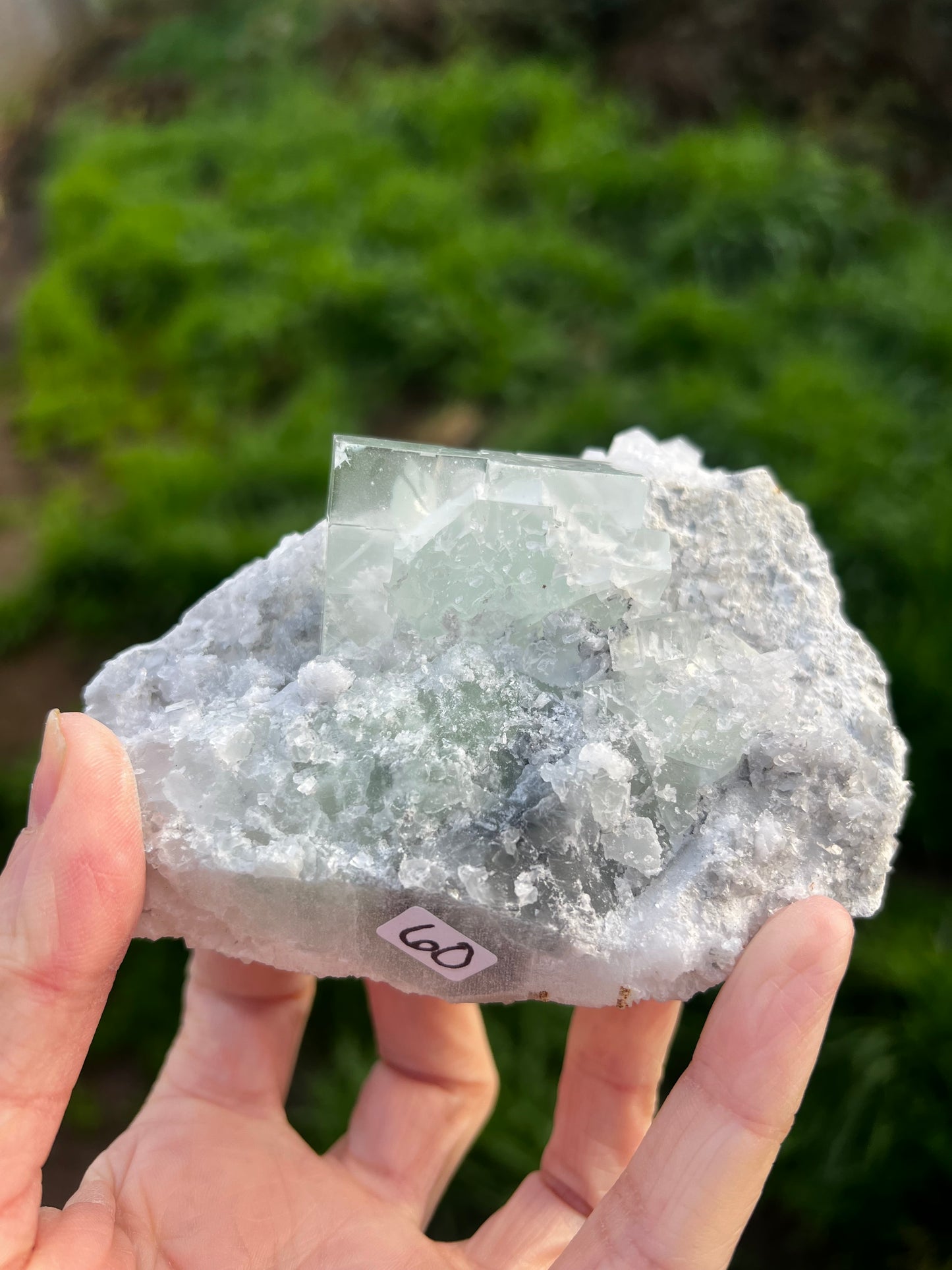 Calcite with green icy Fluorite 60