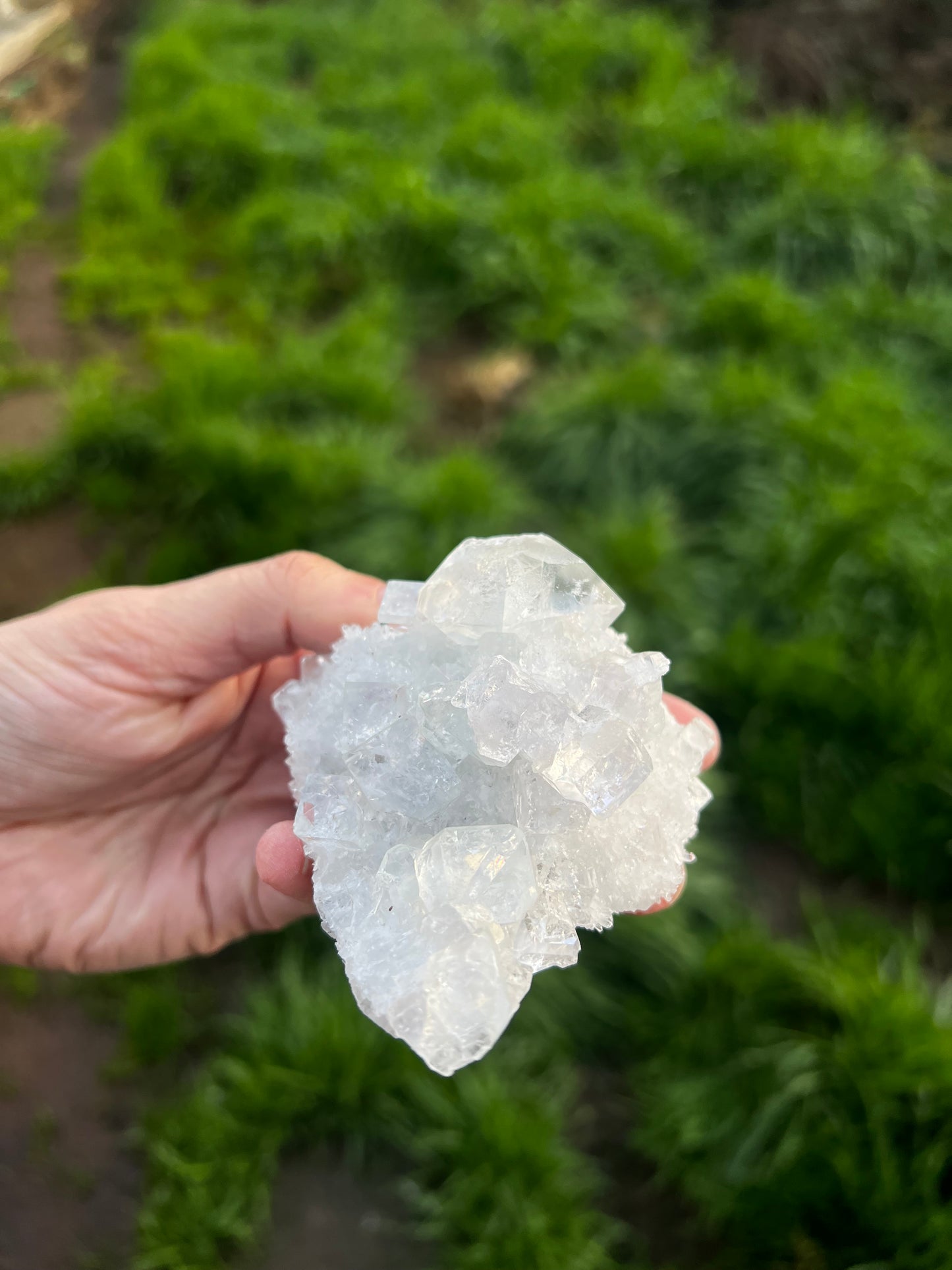 Calcite with Rainbow filled icy fluorite cubes. - China 42