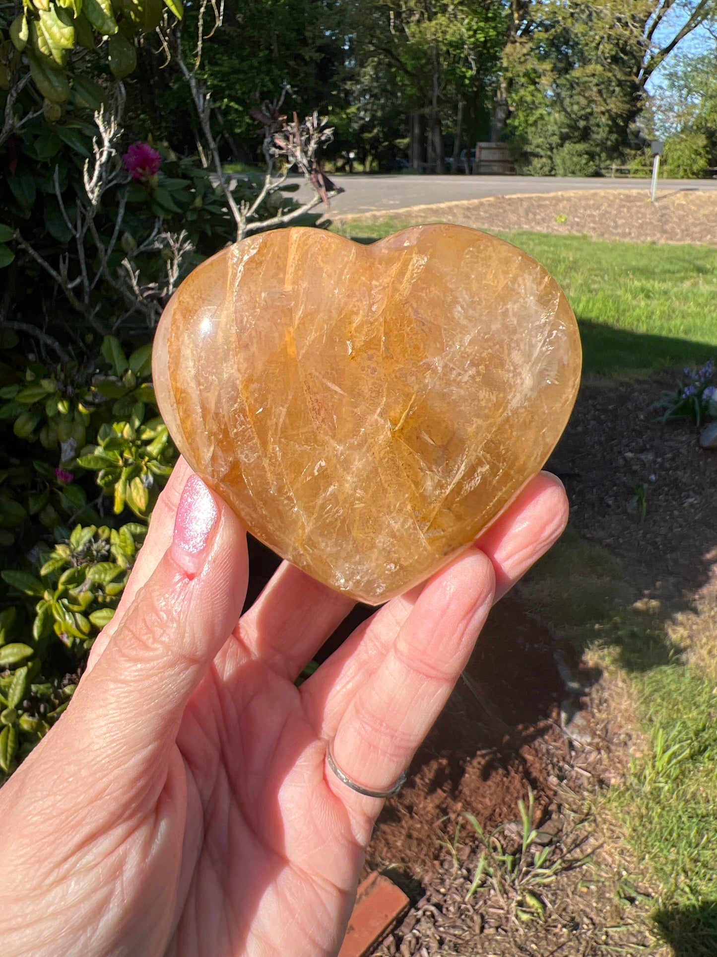Golden healer heart (you choose)