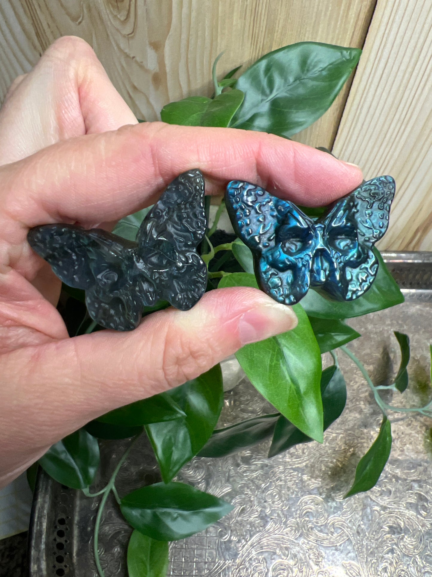 Labradorite Moth - Super flashy