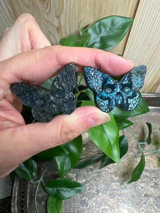 Labradorite Moth - Super flashy