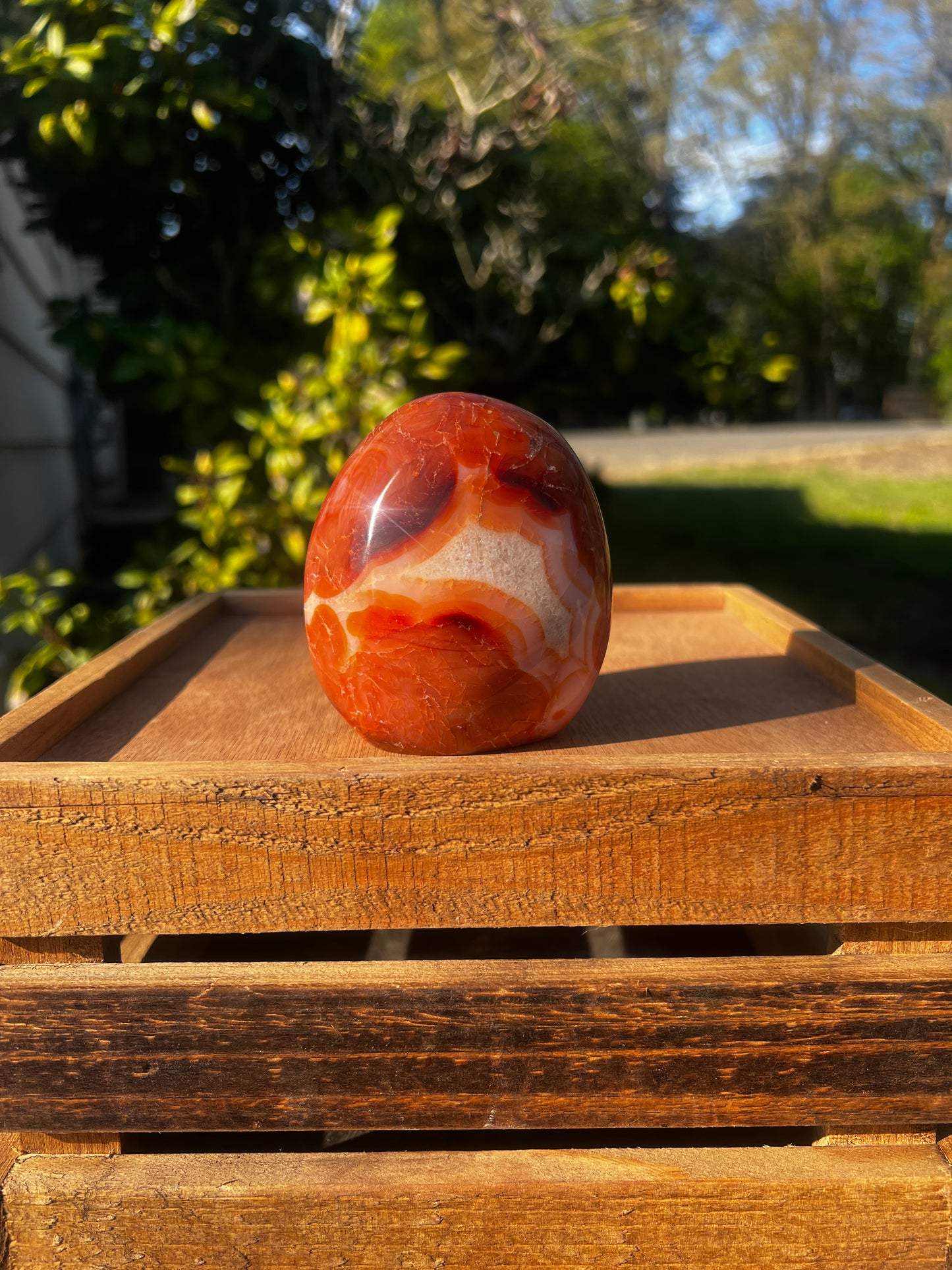 Carnelian Freeform