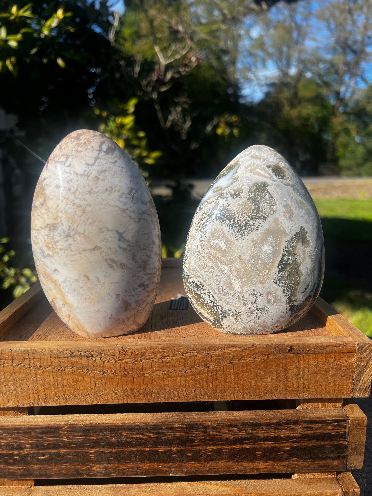 Ibis Jasper / Sea Jasper Freeform - You choose