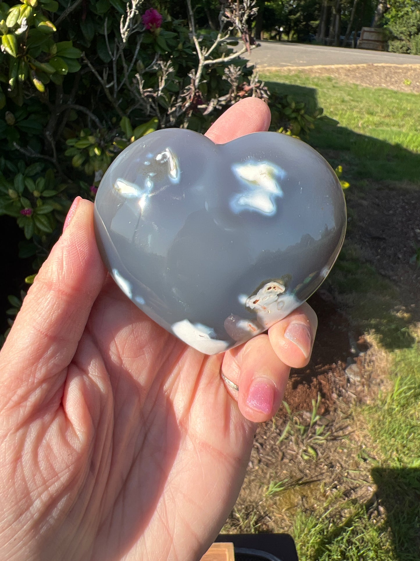 Orca Agate Hearts (you choose)