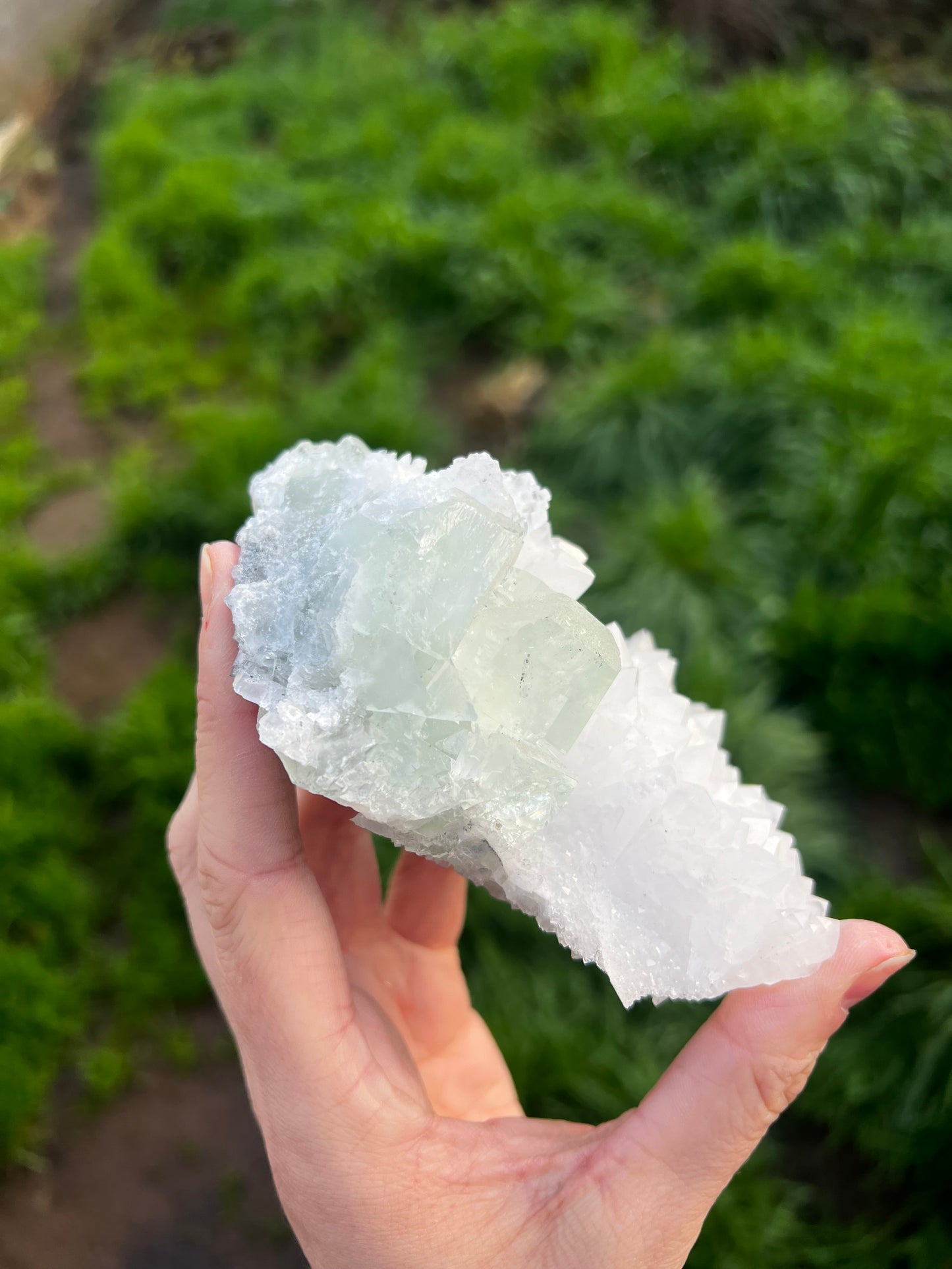 Calcite with Fluorite green cubes 67