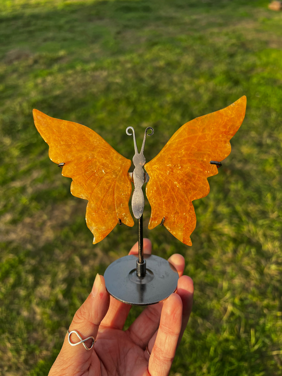 Golden Healer Butterfly Wings on Stand | Quartz Crystal Décor Option 69