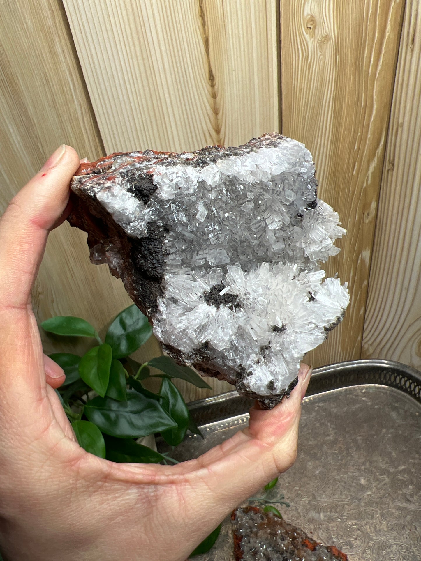 Hemimorphite on Lemonite from Durango Mexico