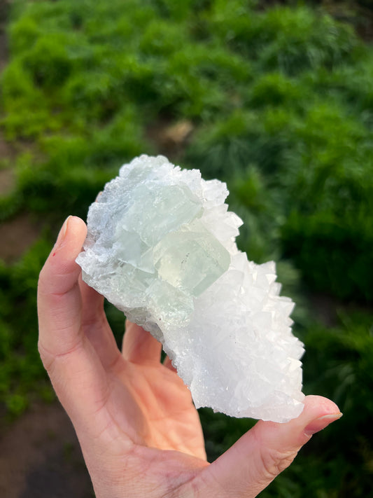 Calcite with Fluorite green cubes 67