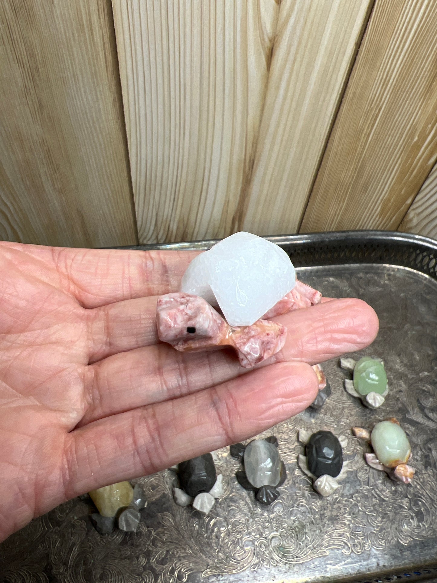 Intuitively Chosen Marble Turtle (Calcite as Shell) Mexico