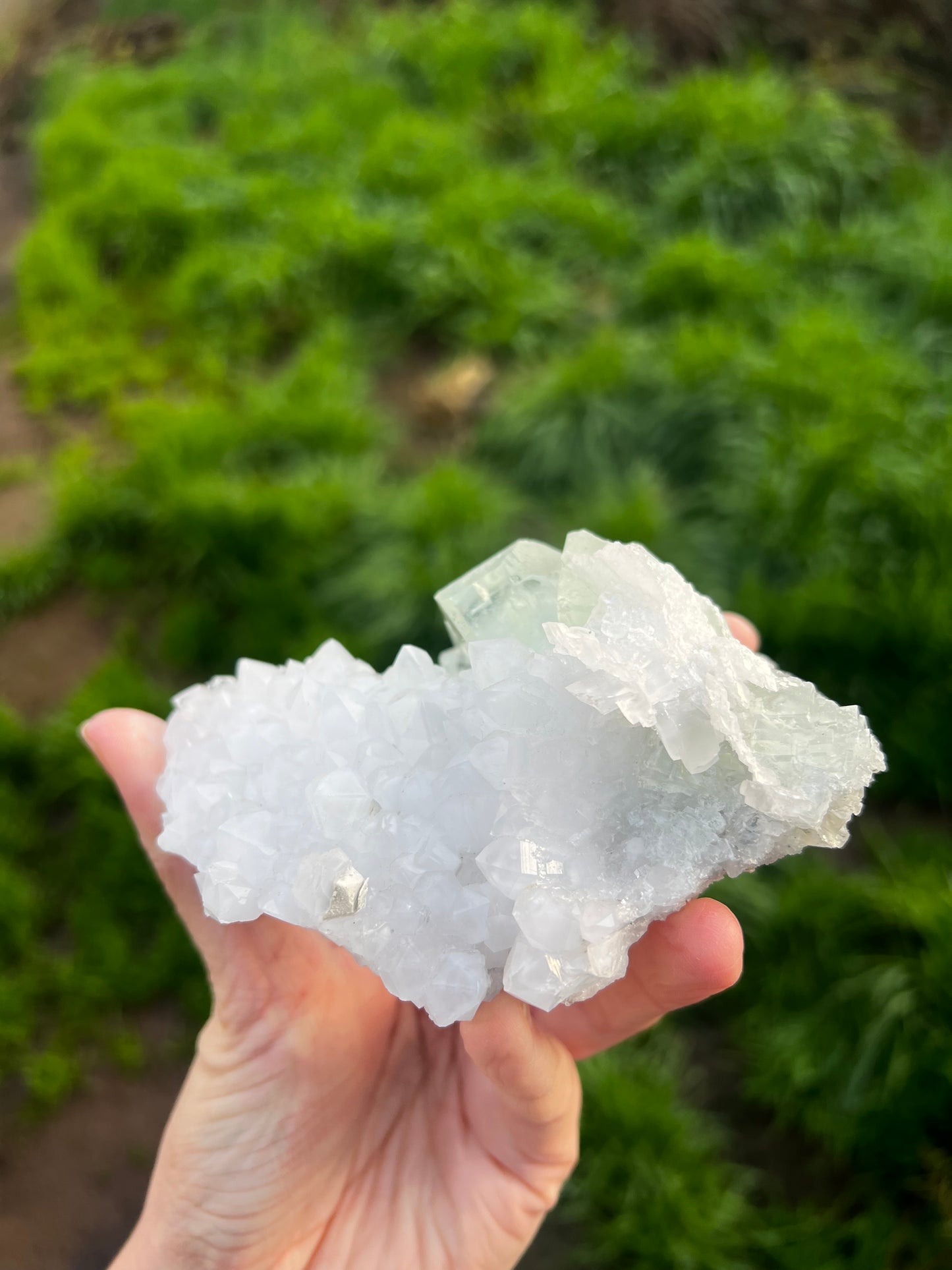 Calcite with Fluorite green cubes 67