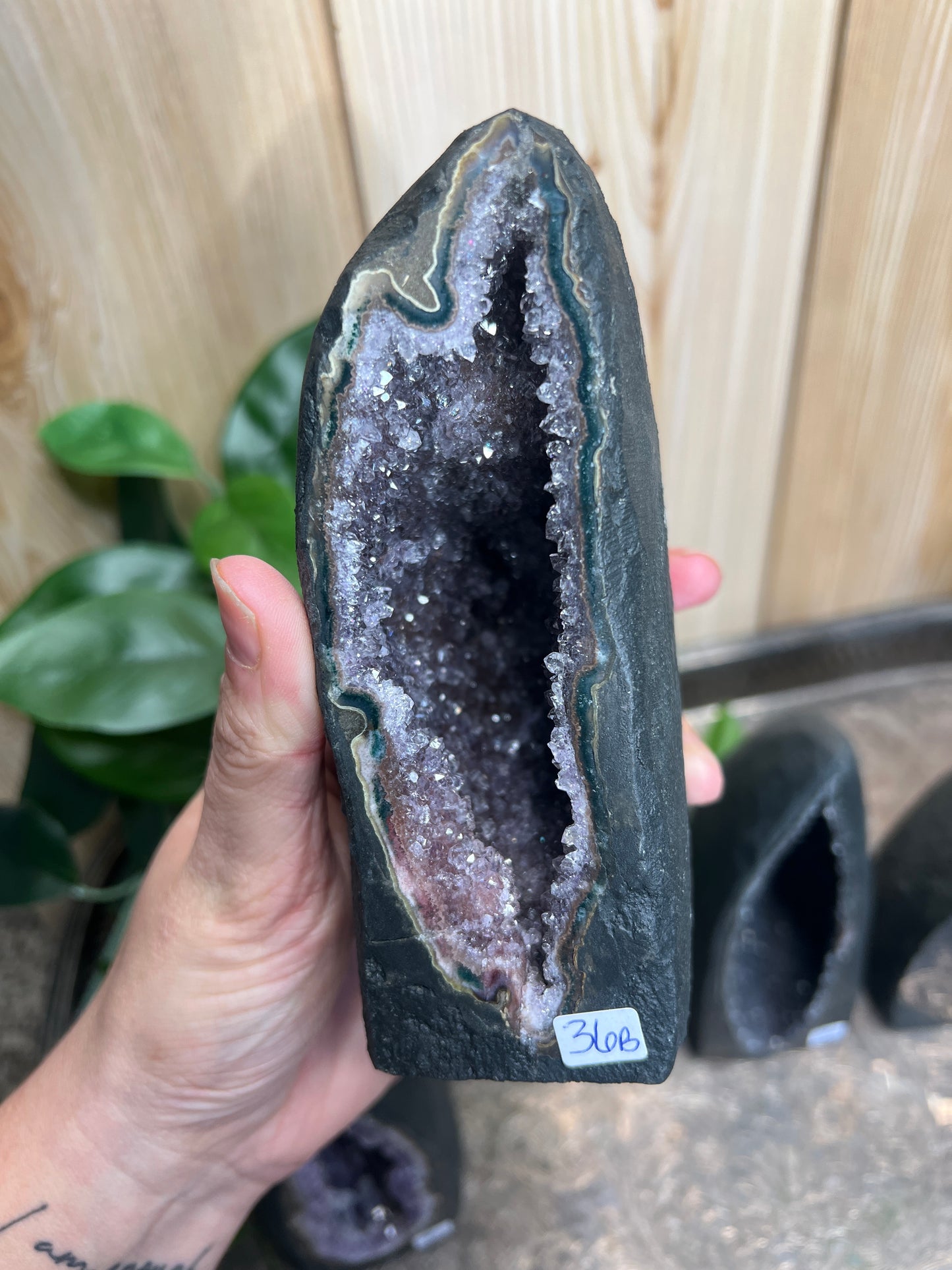 Mini Amethyst Cathedral 36 (you choose)
