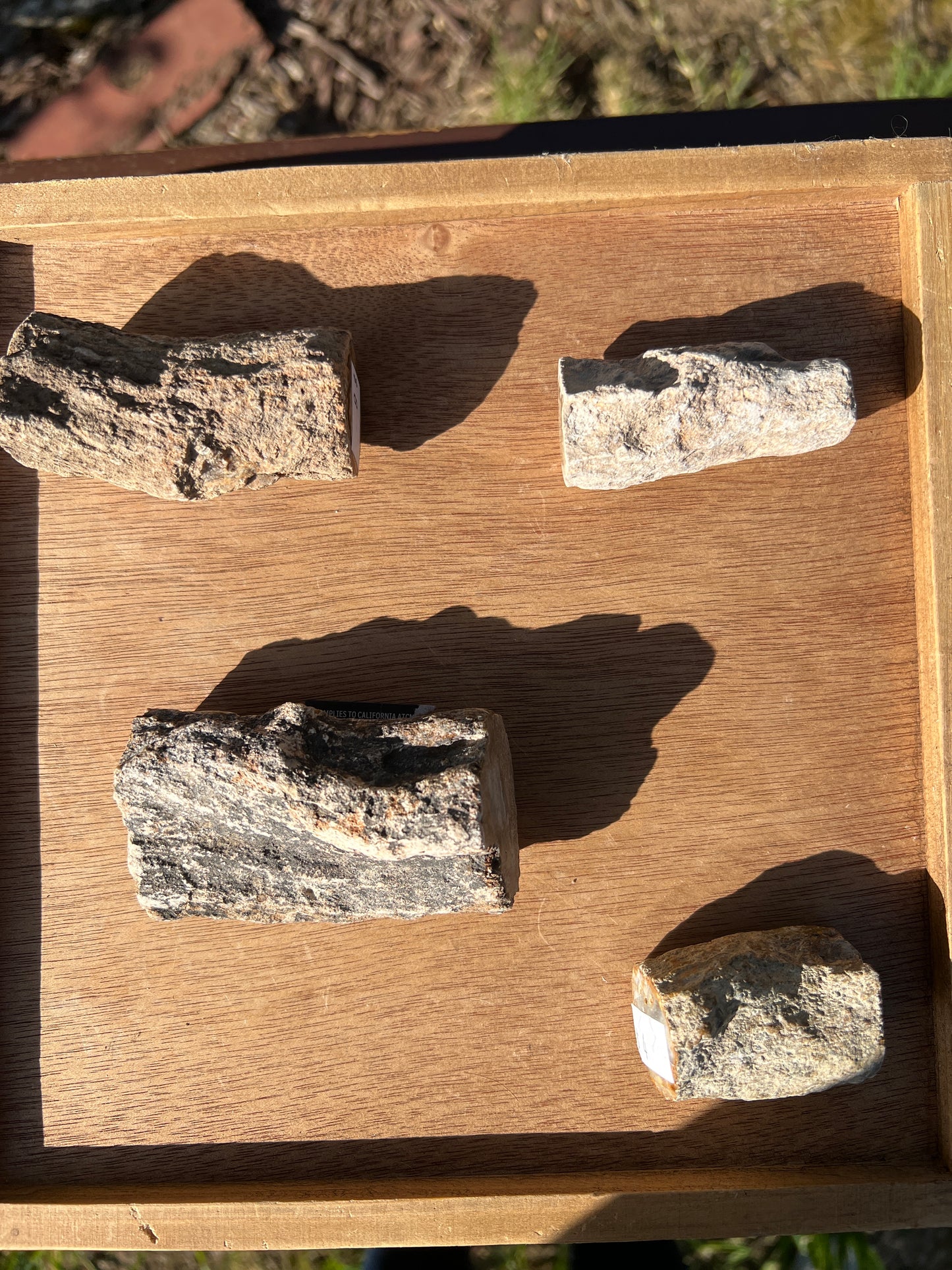 Petrified wood (you choose)