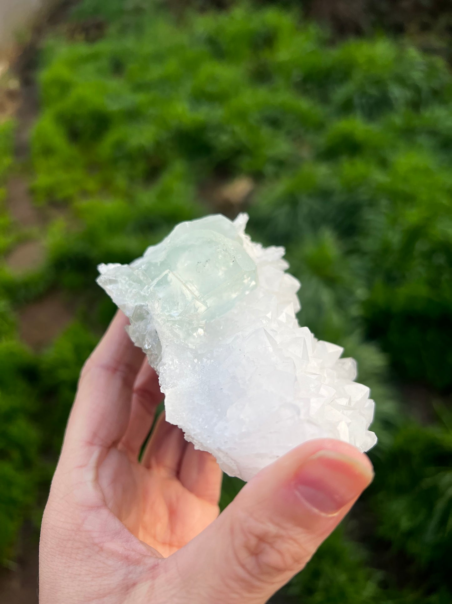 Calcite with Fluorite green cubes 67