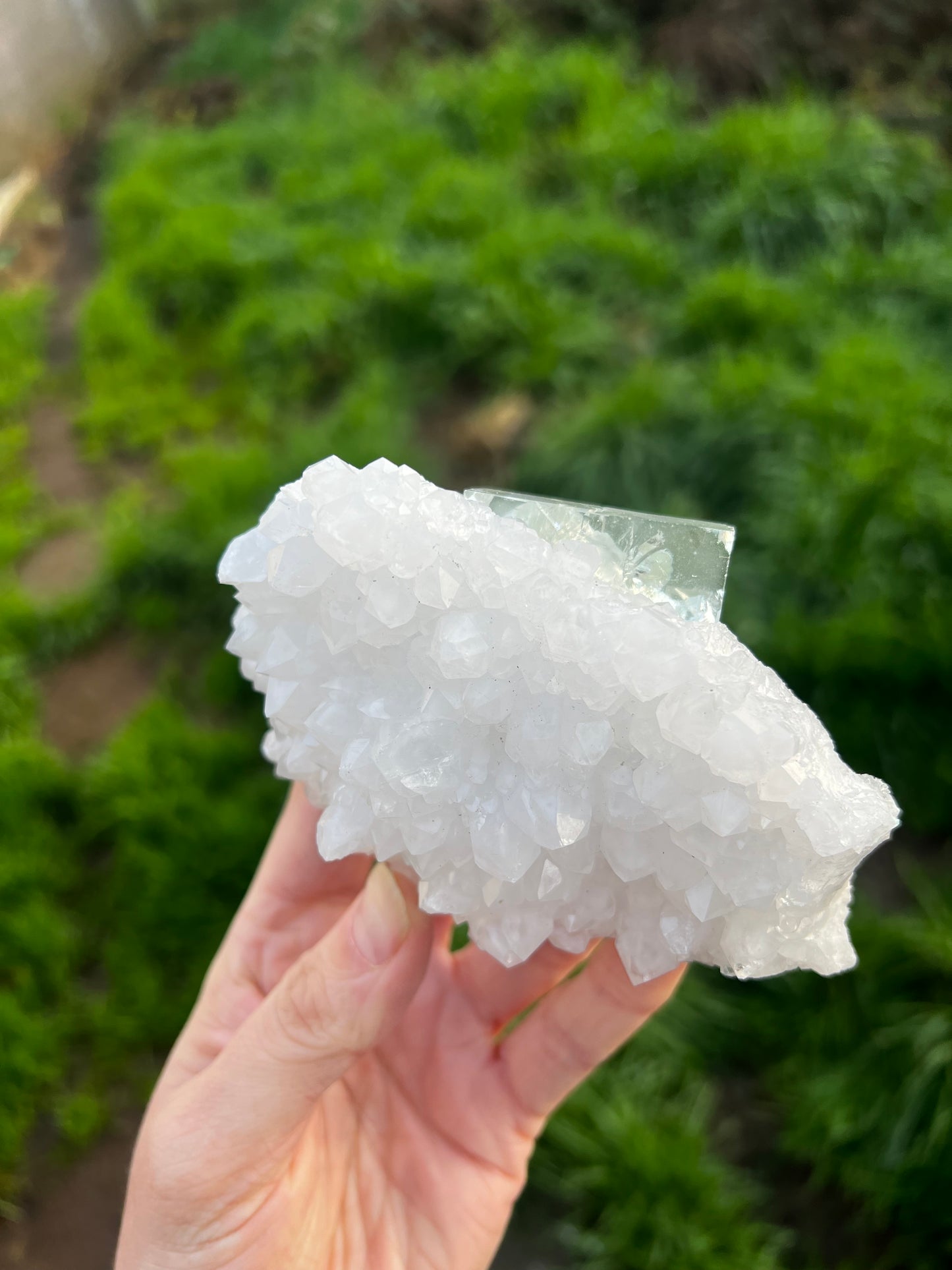 Calcite with green icy Fluorite 60