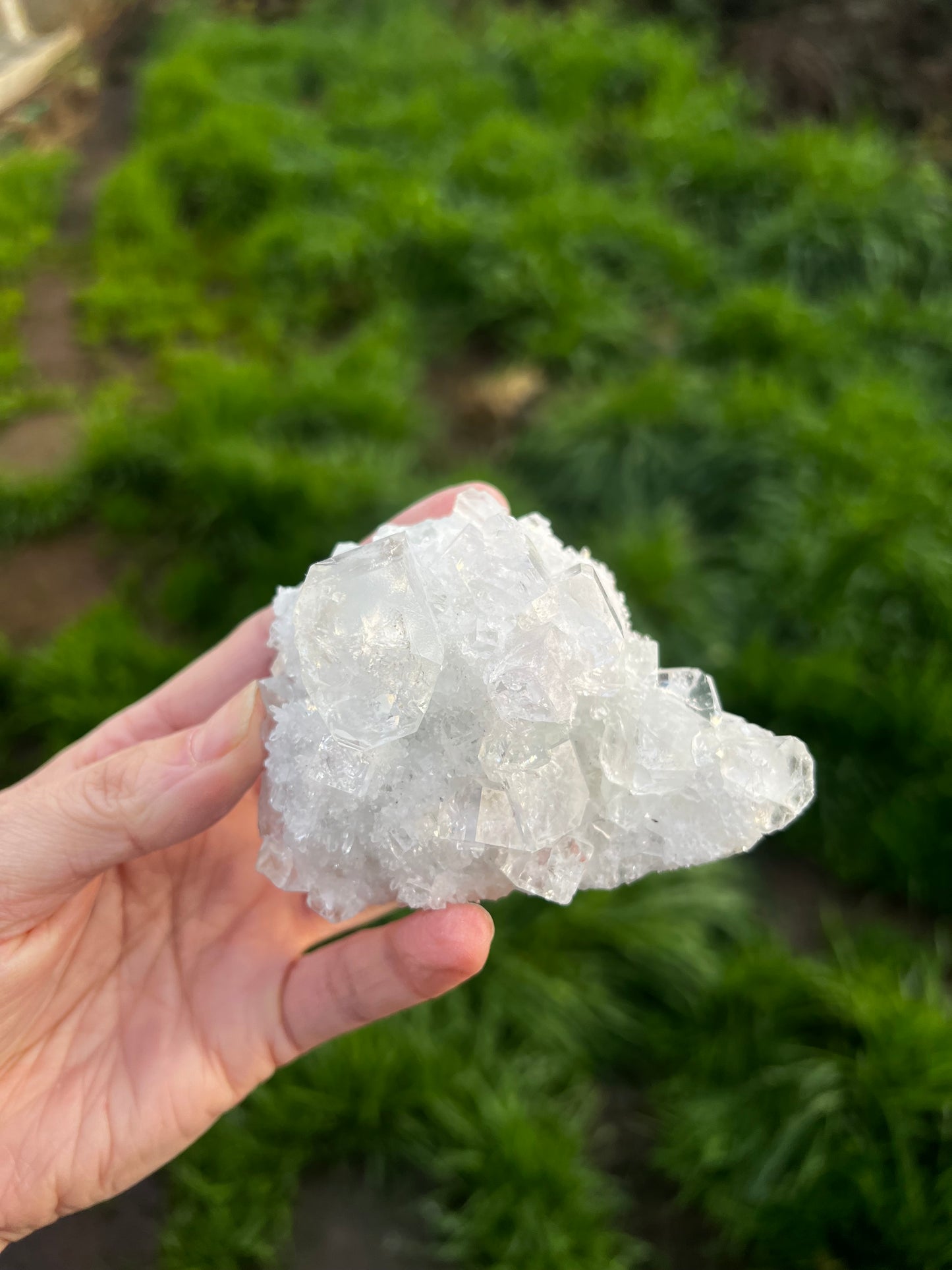 Calcite with Rainbow filled icy fluorite cubes. - China 42