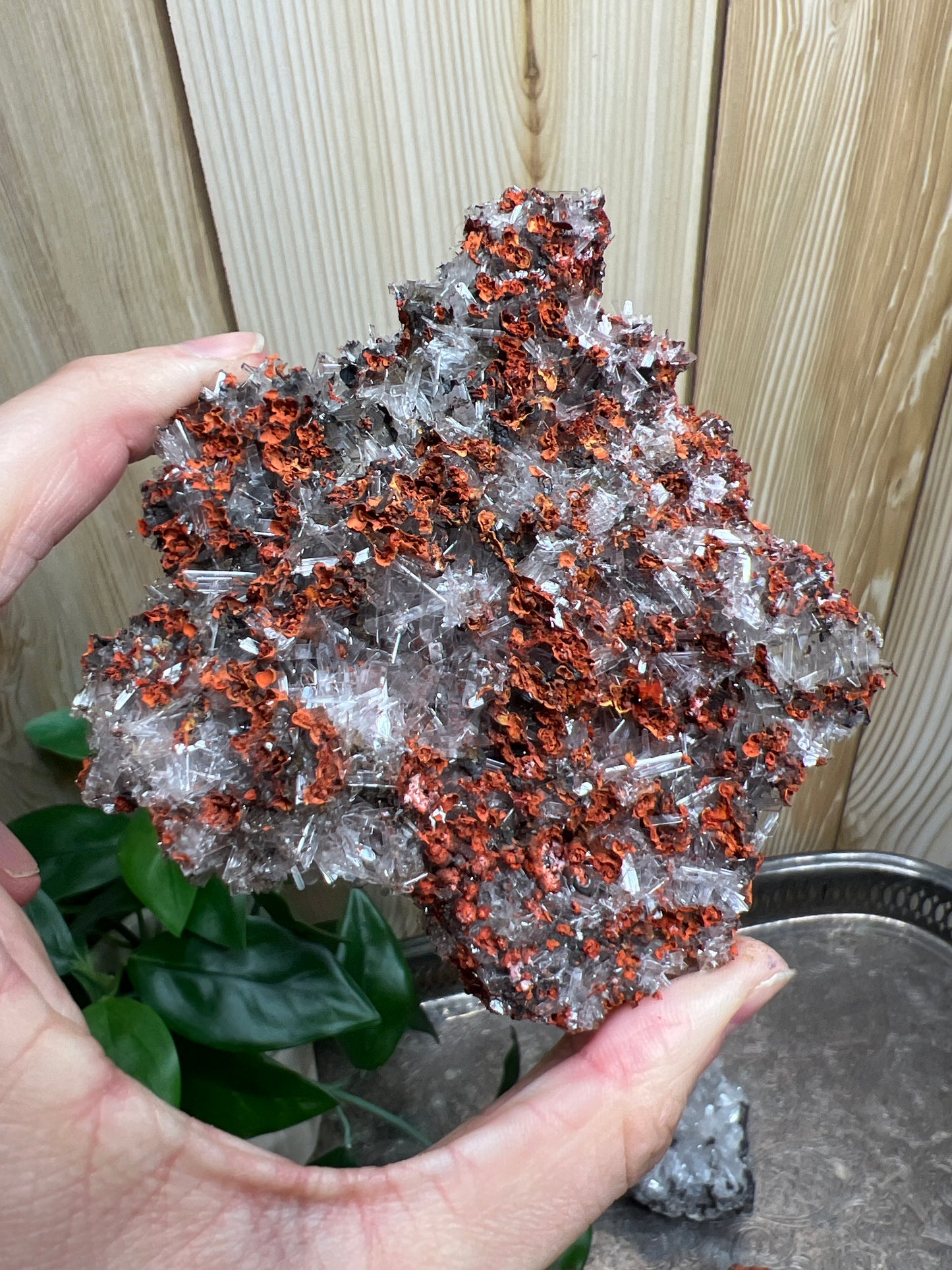 Hemimorphite on Lemonite from Durango Mexico