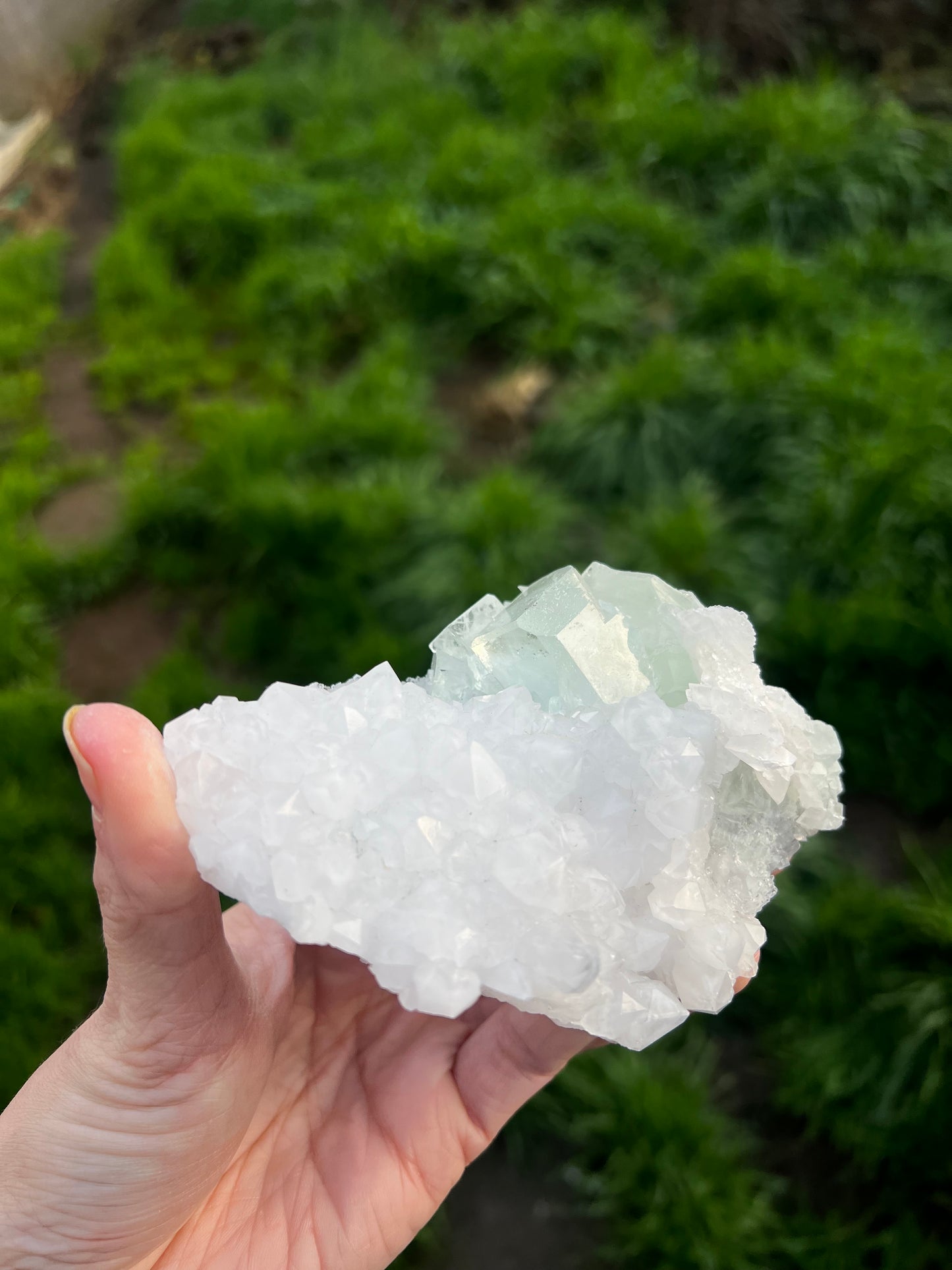 Calcite with Fluorite green cubes 67
