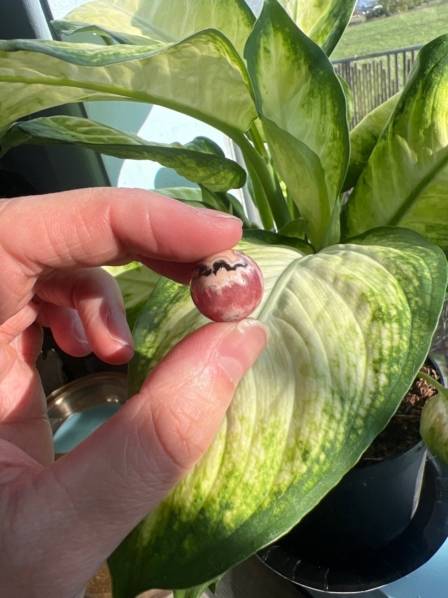 Rhodochrosite Mini Sphere