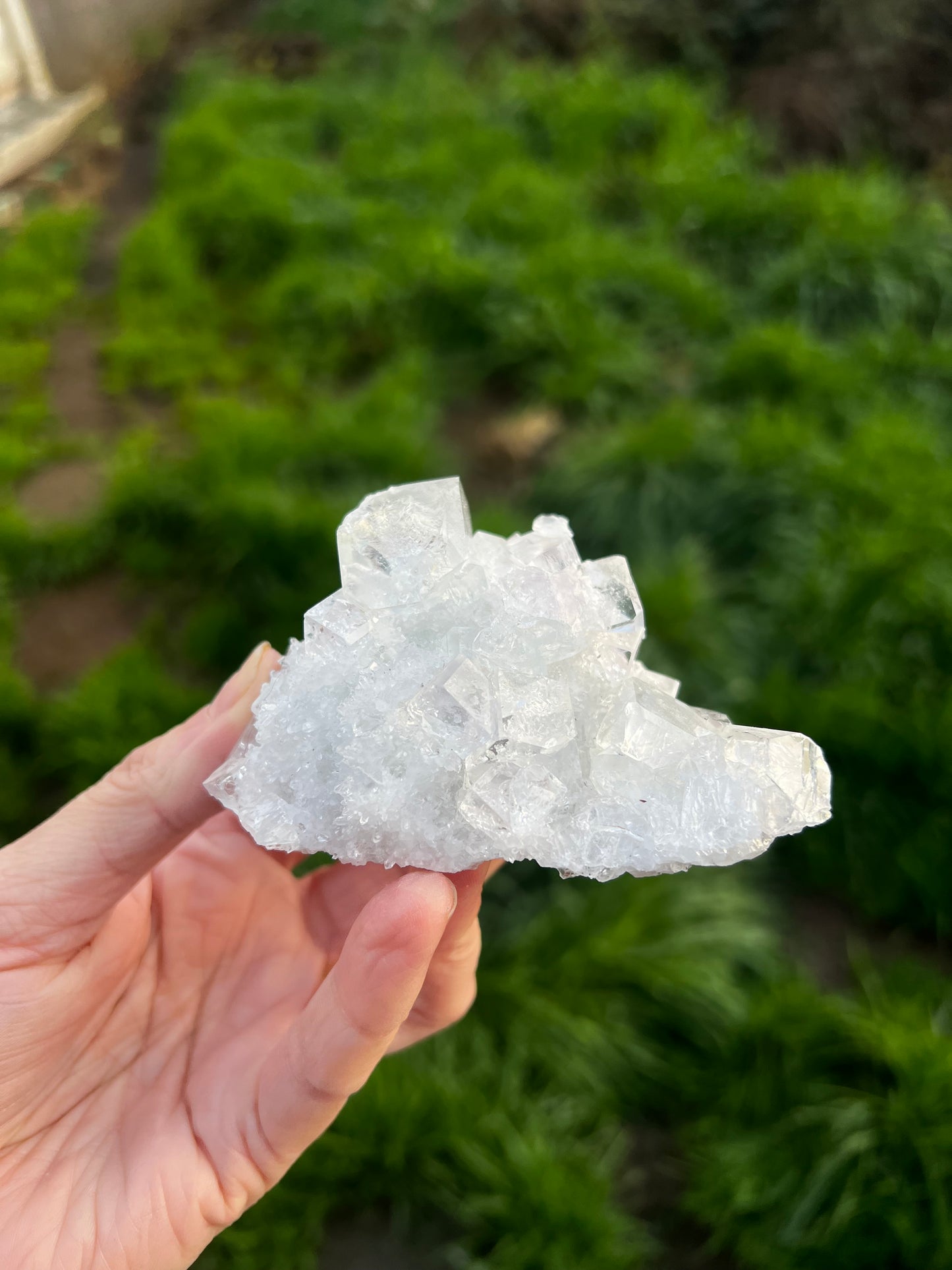 Calcite with Rainbow filled icy fluorite cubes. - China 42