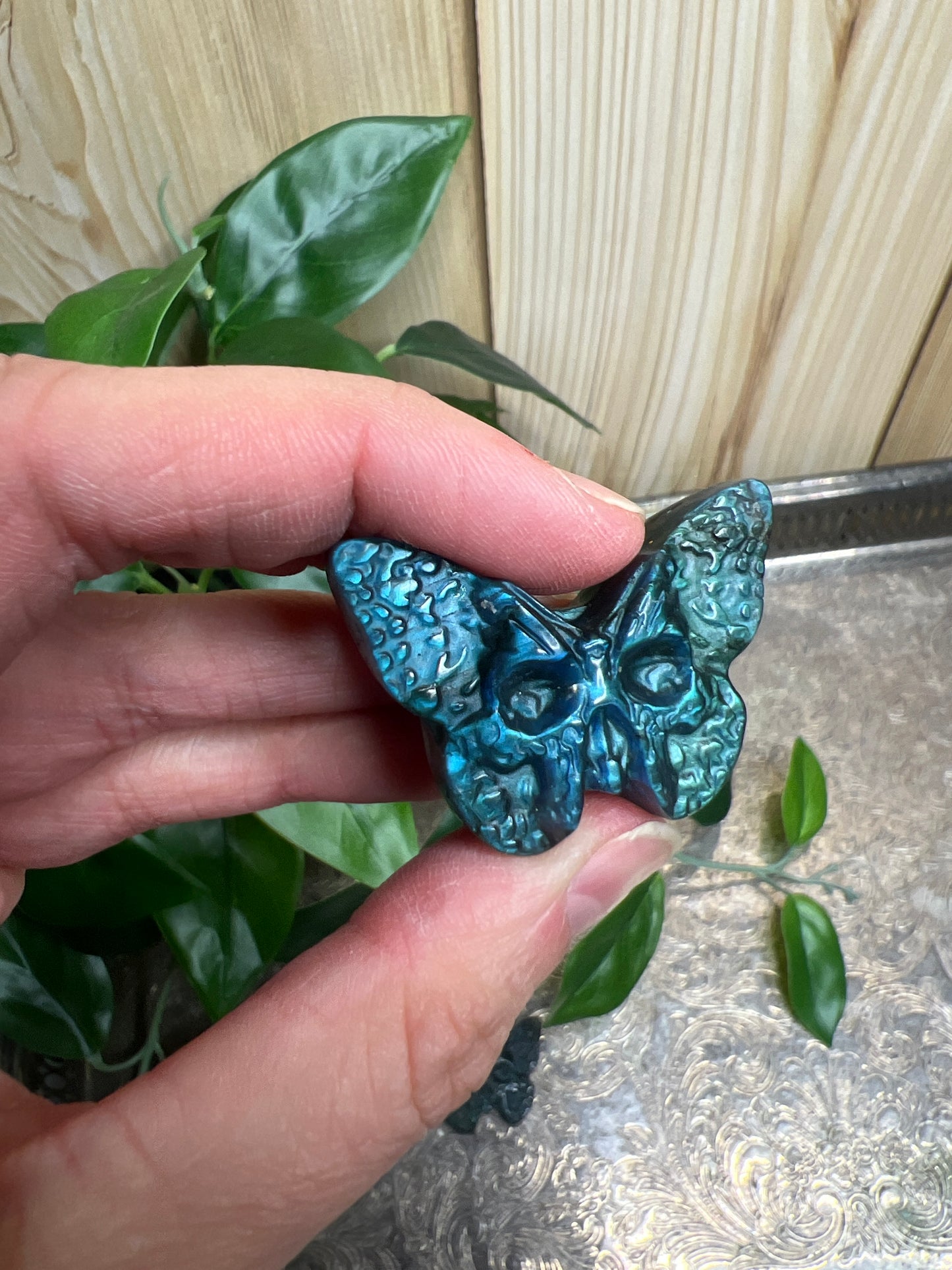 Labradorite Moth - Super flashy