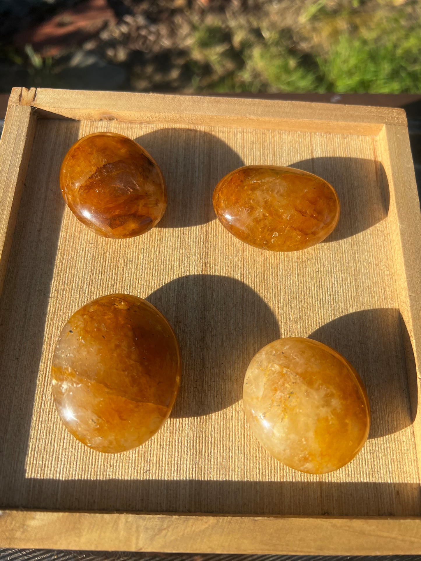 Golden Healer Palm Stone (you choose)