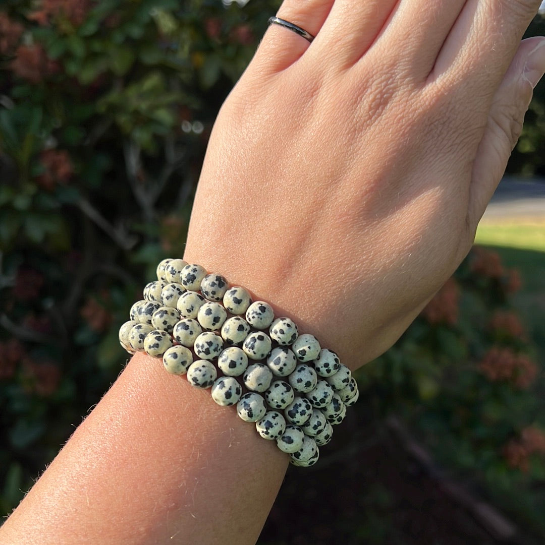Dalmatian Jasper Bracelet