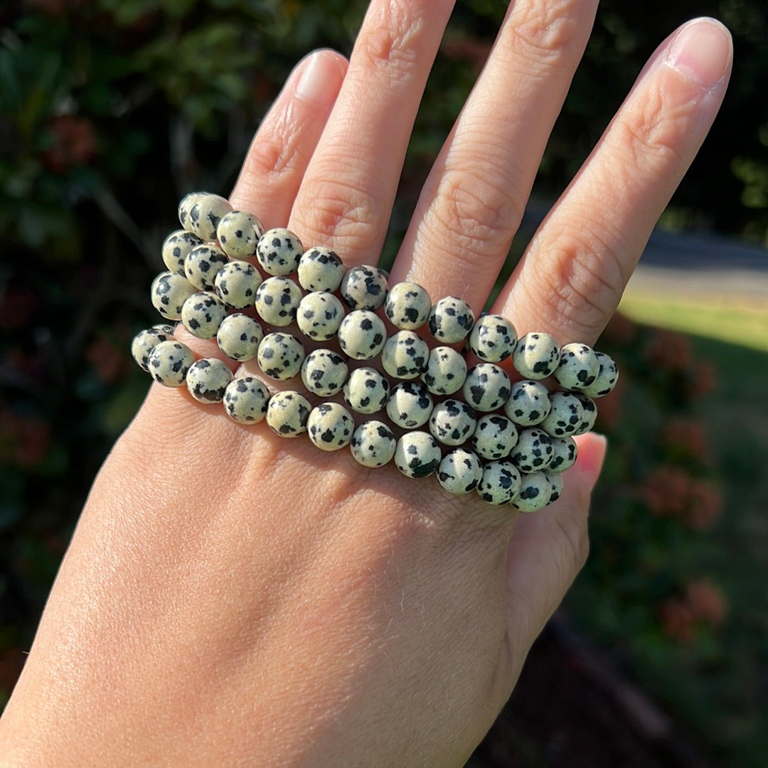 Dalmatian Jasper Bracelet