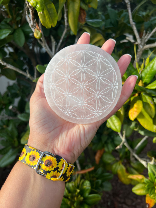 Selenite Medium Etched Charging plate.