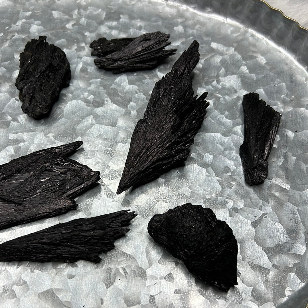Black Kyanite Raw Piece (Witches Broom)