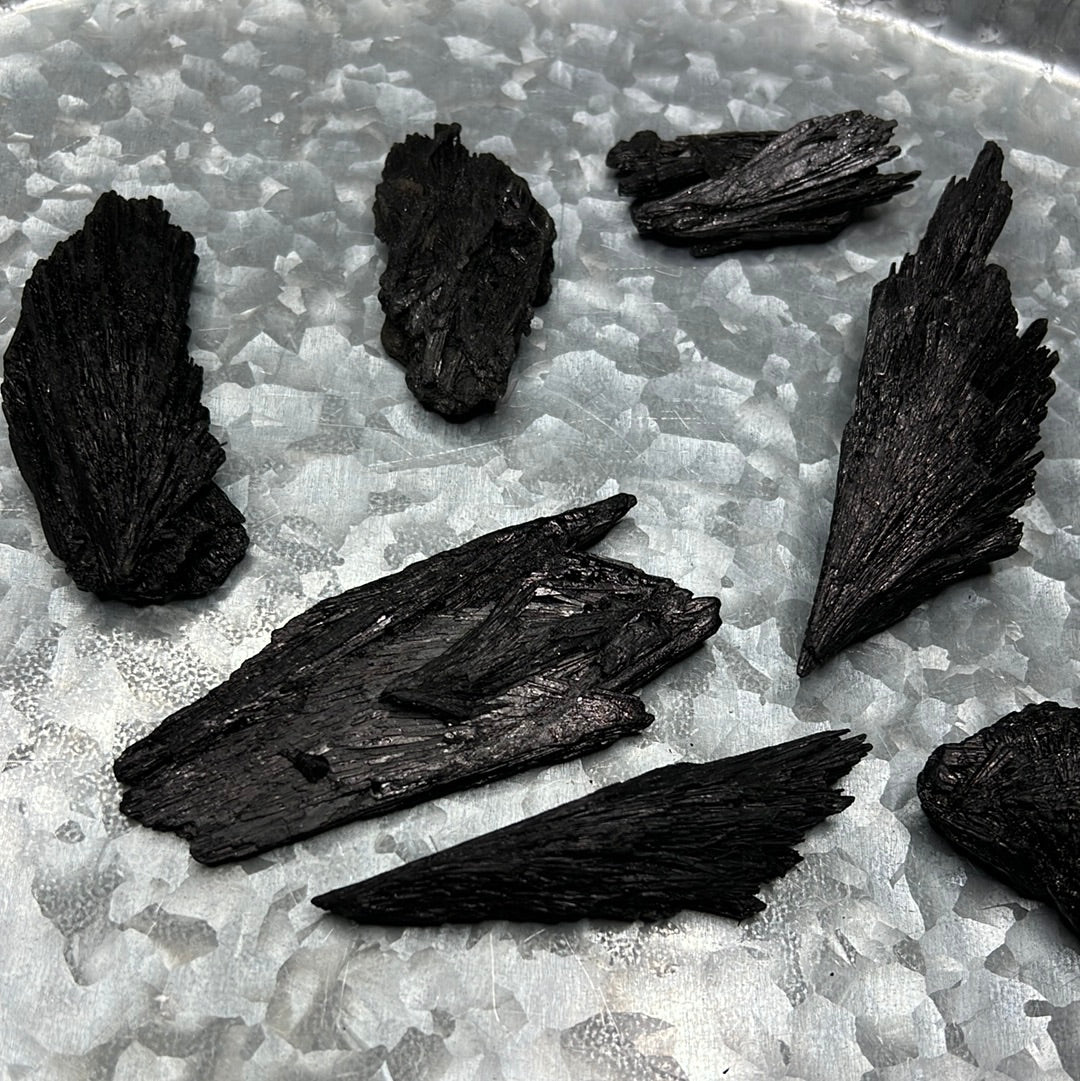 Black Kyanite Raw Piece (Witches Broom)