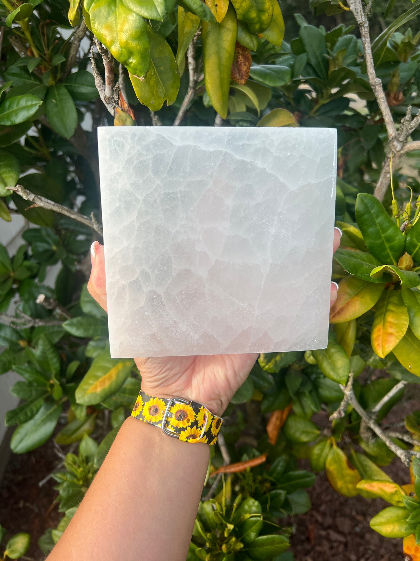 Selenite Large Charging Plate