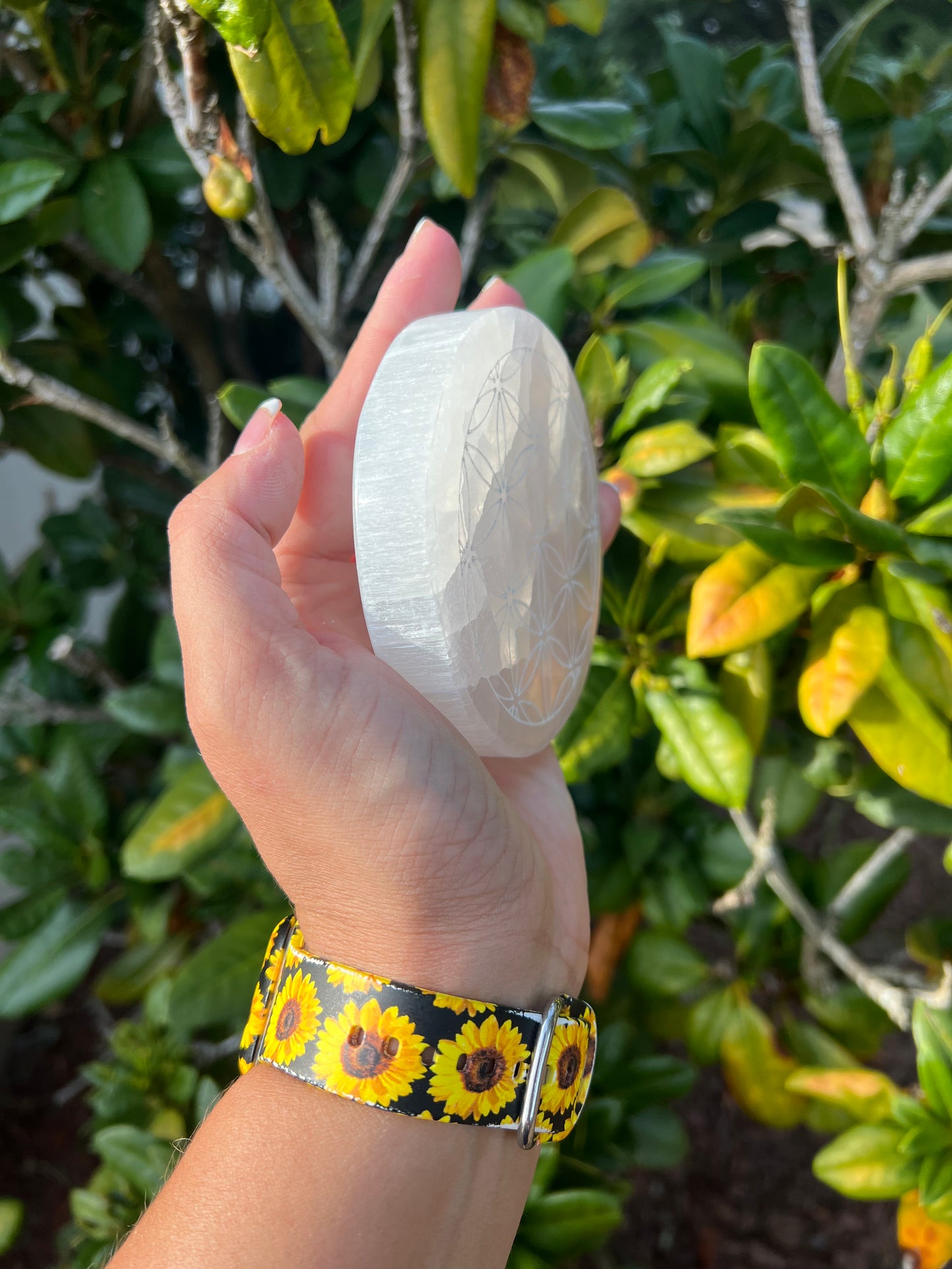 Selenite Medium Etched Charging plate.