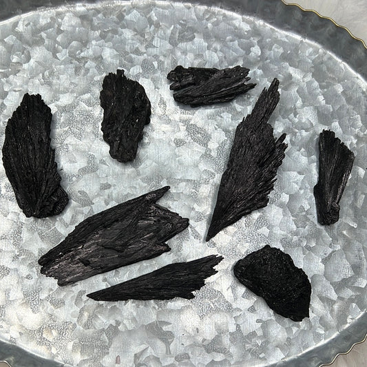 Black Kyanite Raw Piece (Witches Broom)