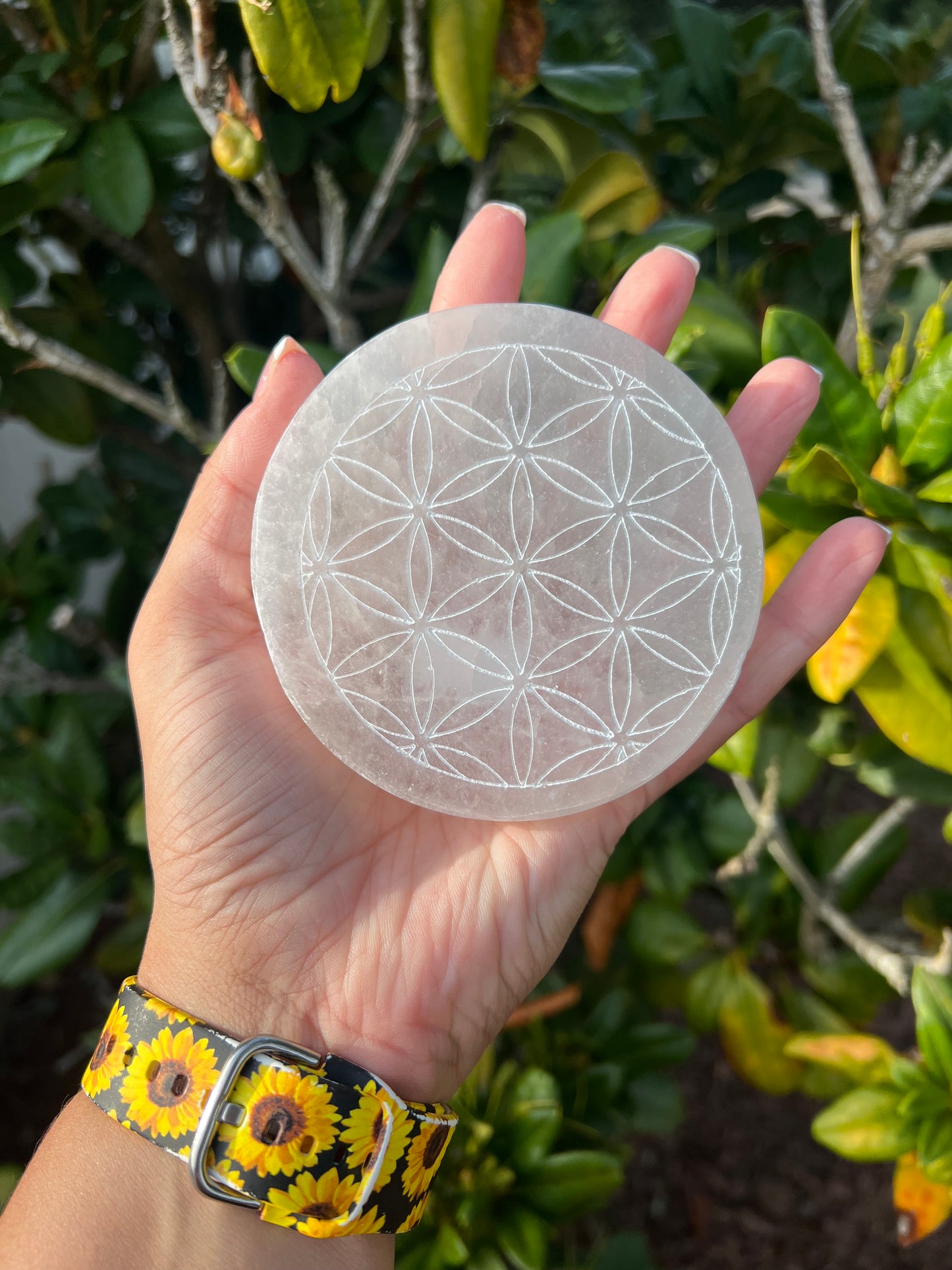 Selenite Medium Etched Charging plate.