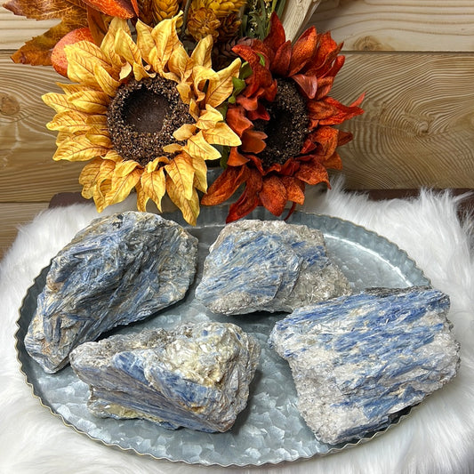 Blue Kyanite Specimens - Brazil - L (You Choose)