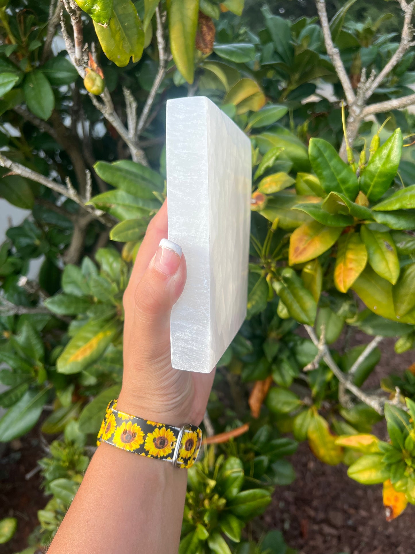 Selenite Large Charging Plate