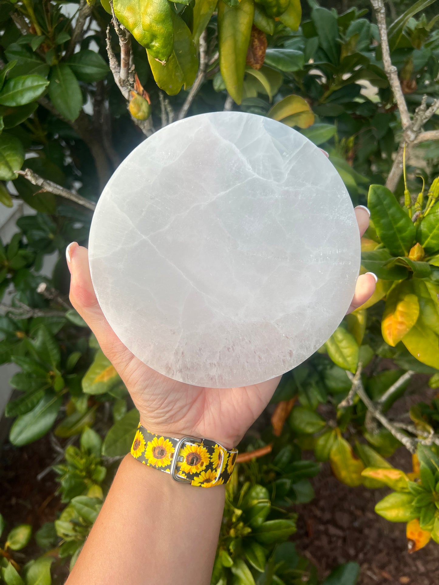 Selenite Large Charging Plate