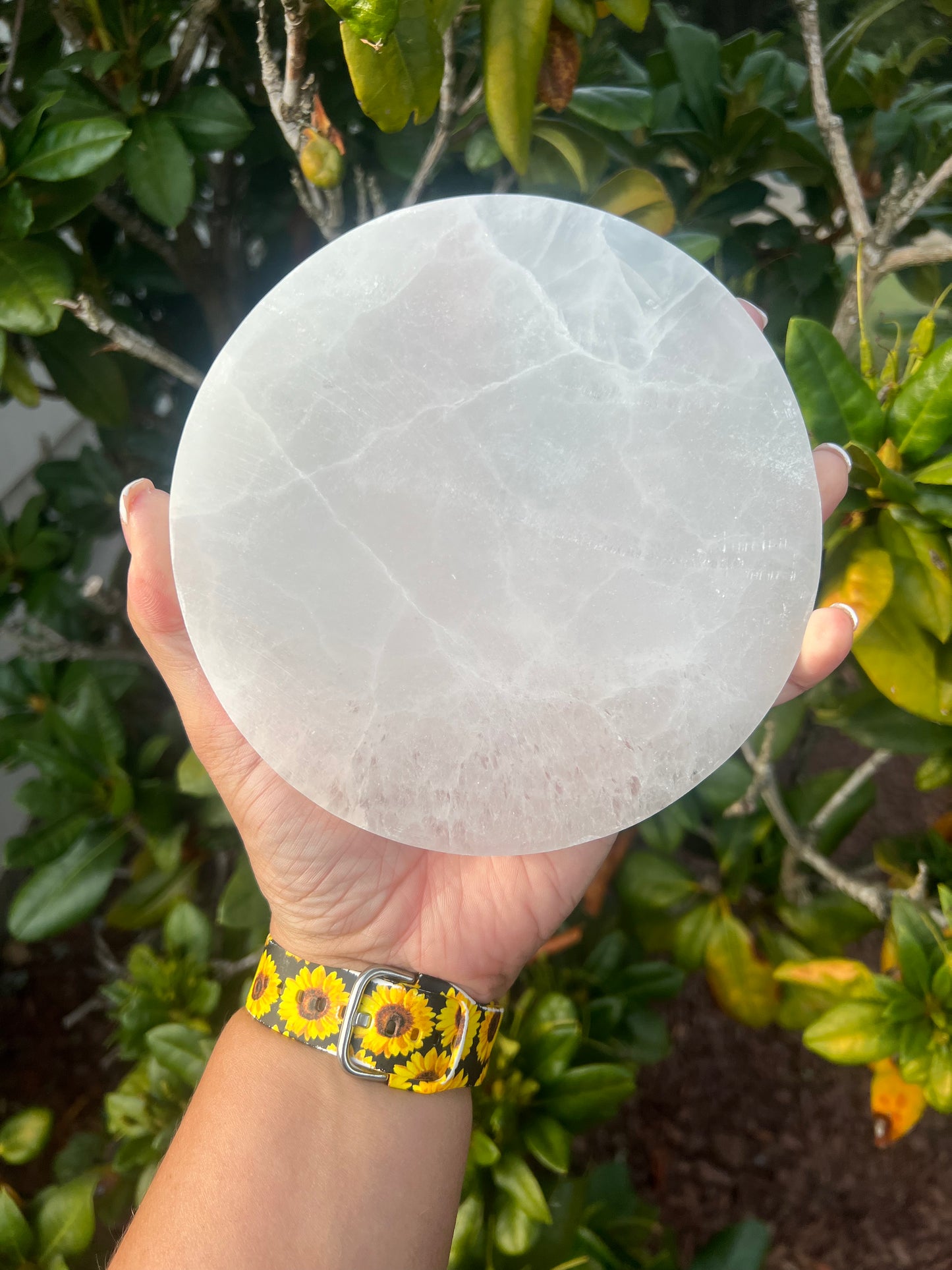 Selenite Large Charging Plate