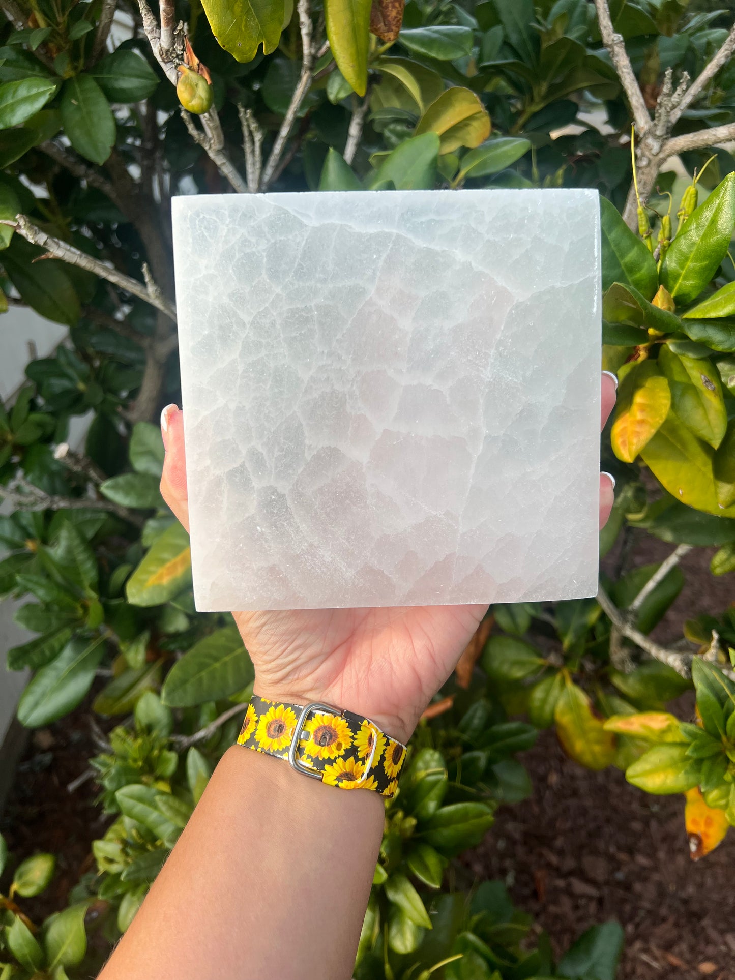 Selenite Large Charging Plate