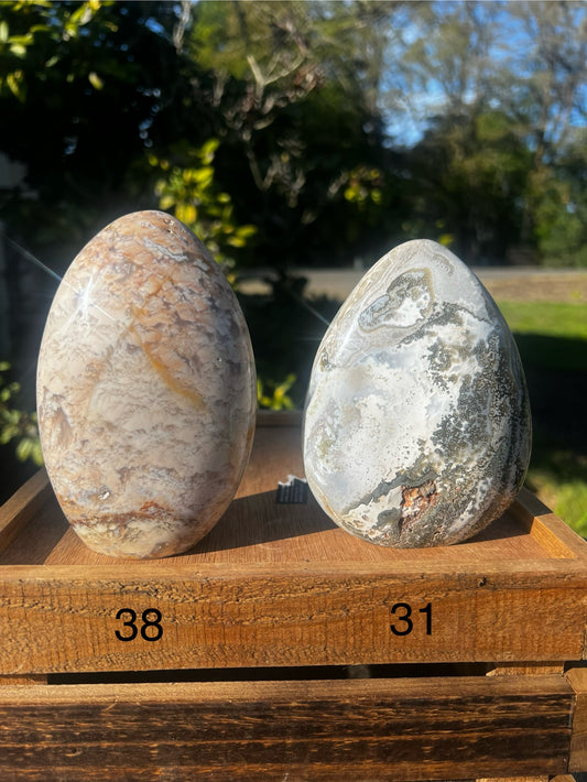 Ibis Jasper / Sea Jasper Freeform - You choose