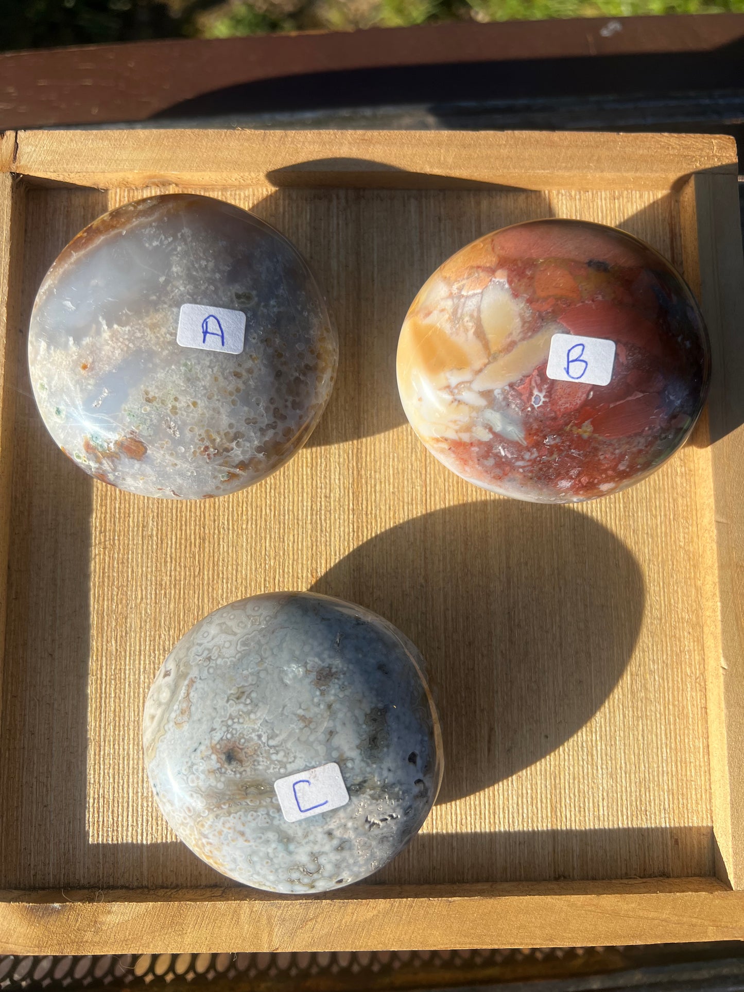 Sea Jasper / Ibis Jasper Palm Stone