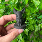 Eeve Pokémon Obsidian carving Unpolished.