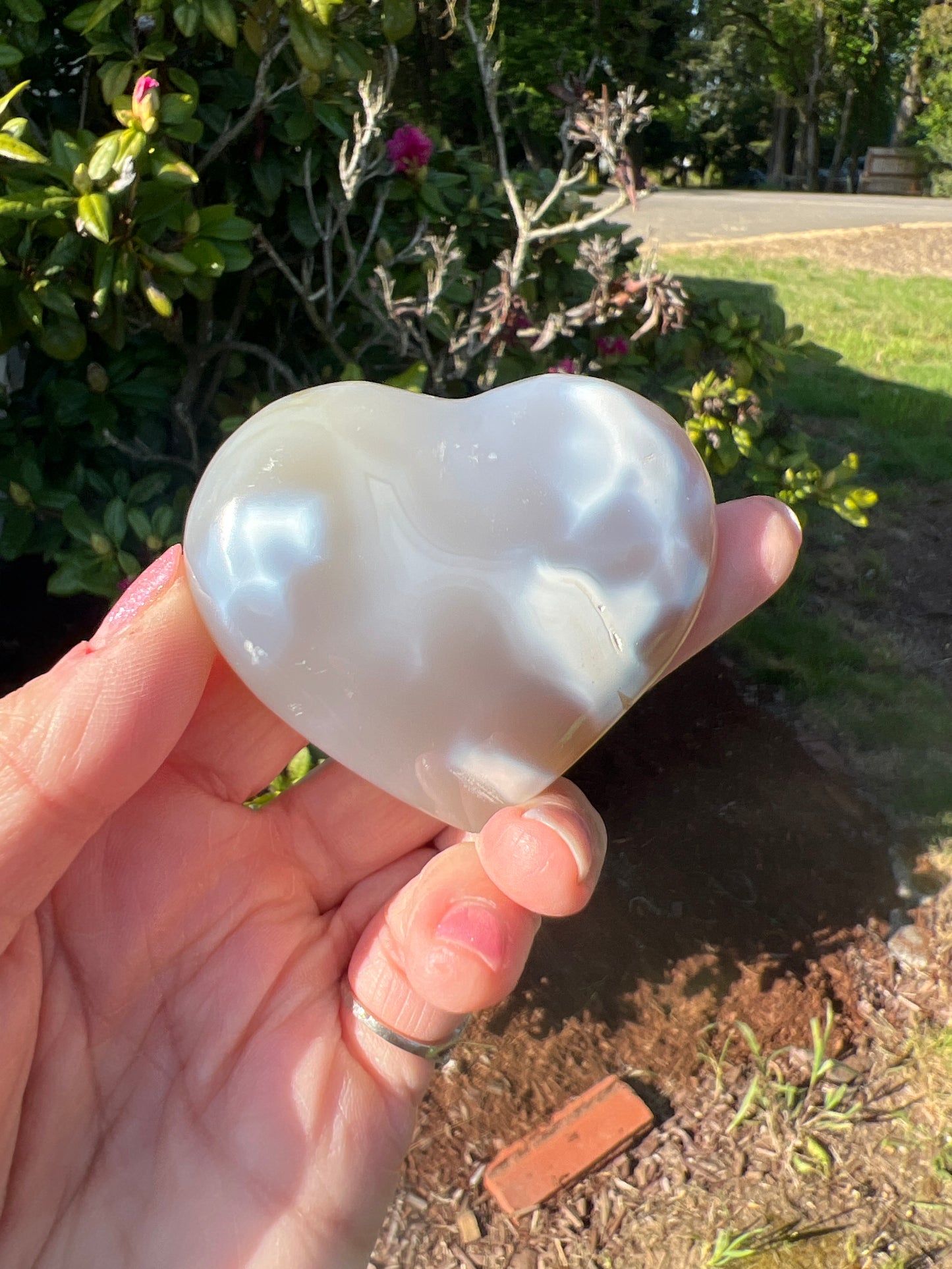 Orca Agate Hearts (you choose)