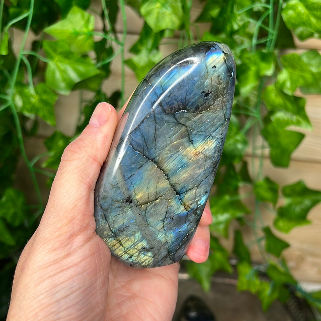 Labradorite Freeforms (you choose)